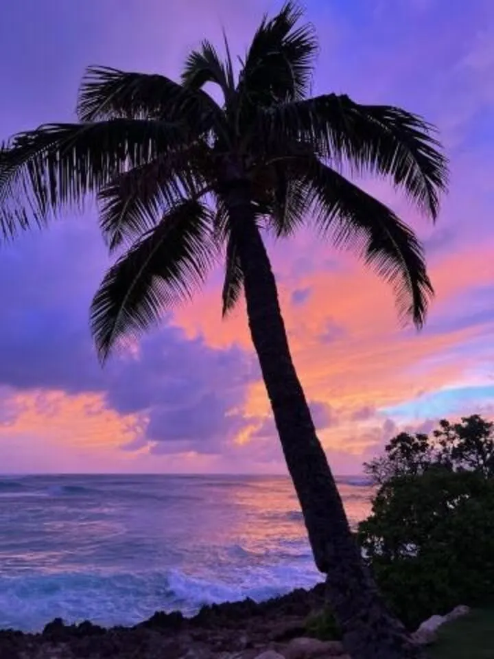 Walk to beach, pool, tennis, golf, restaurants, AC -Turtle Bay Hideaway 18