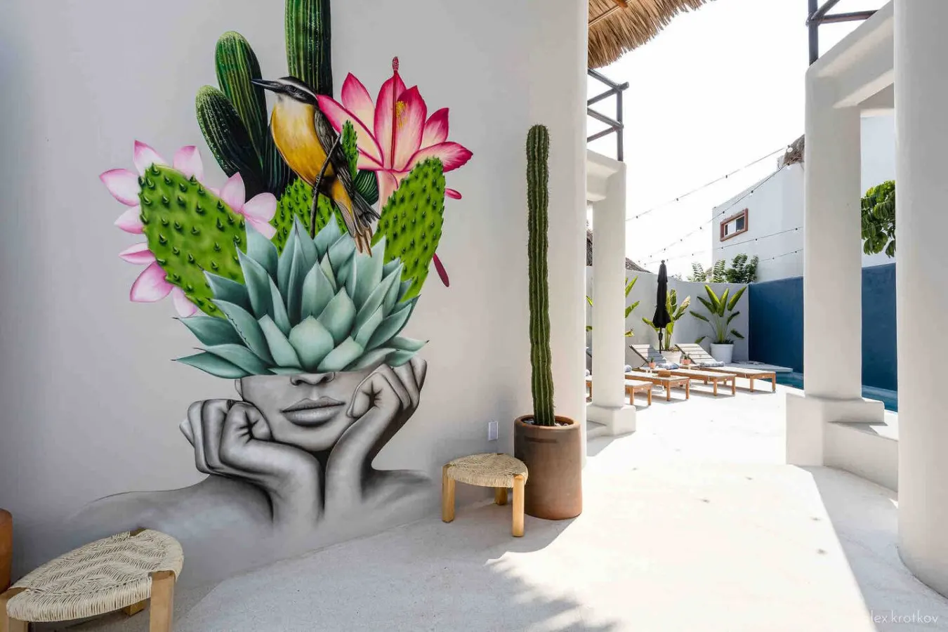 Casa Nopal - Private Pool, Chic, Steps from Beach 12