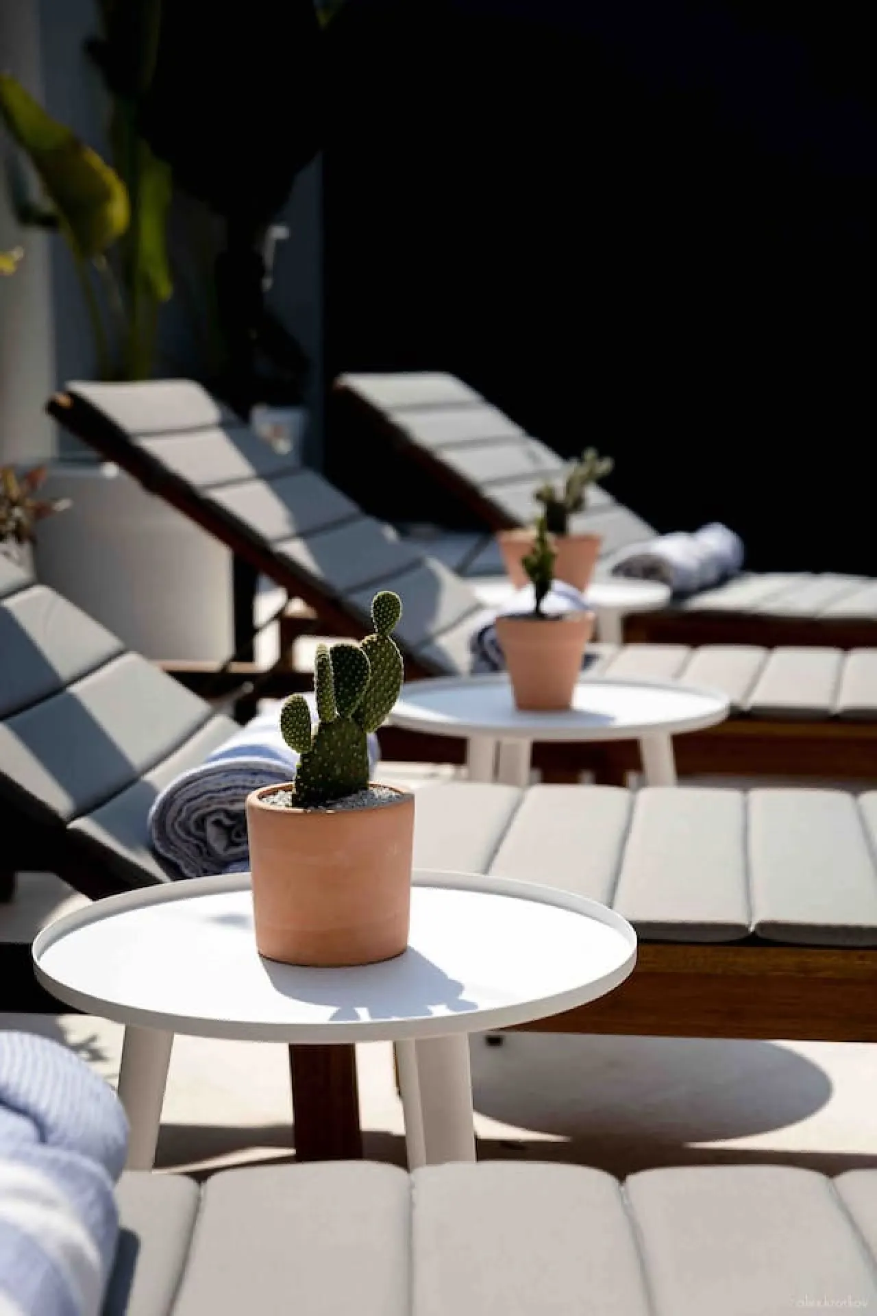 Casa Nopal - Private Pool, Chic, Steps from Beach 19