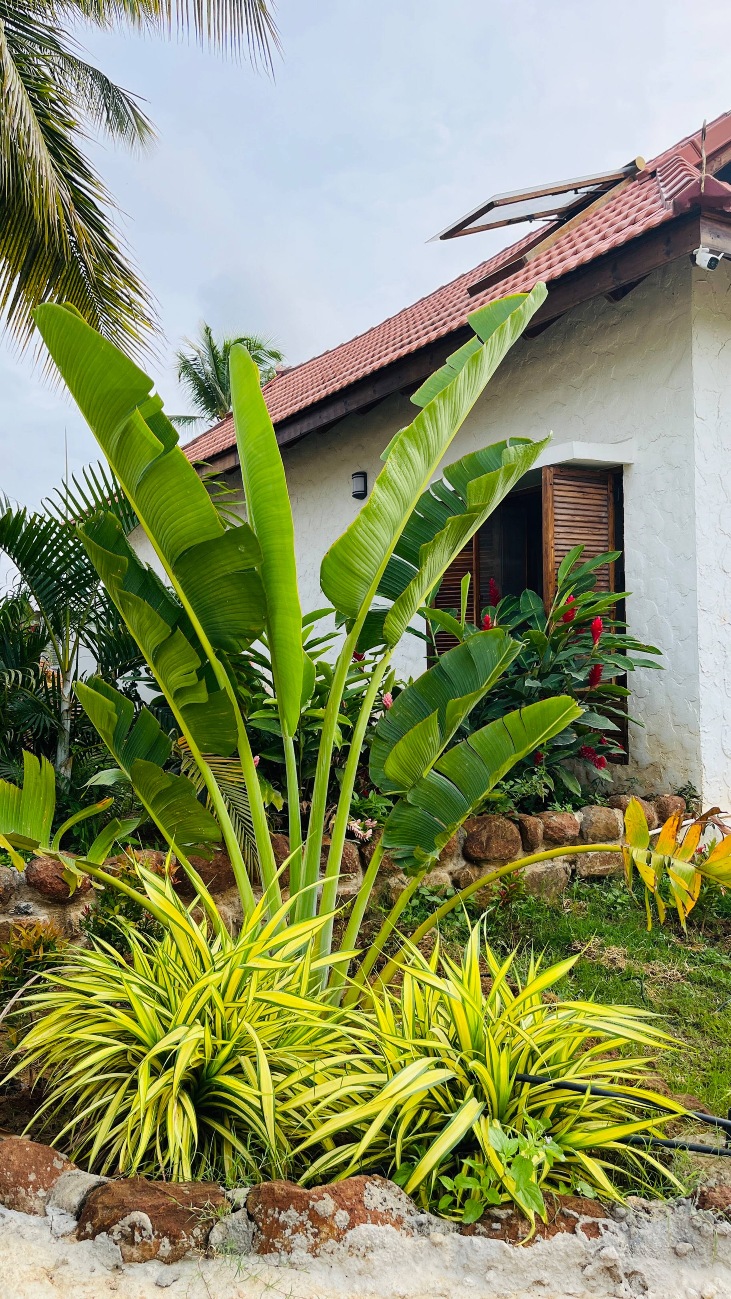 Aloha farms- By the lake 4