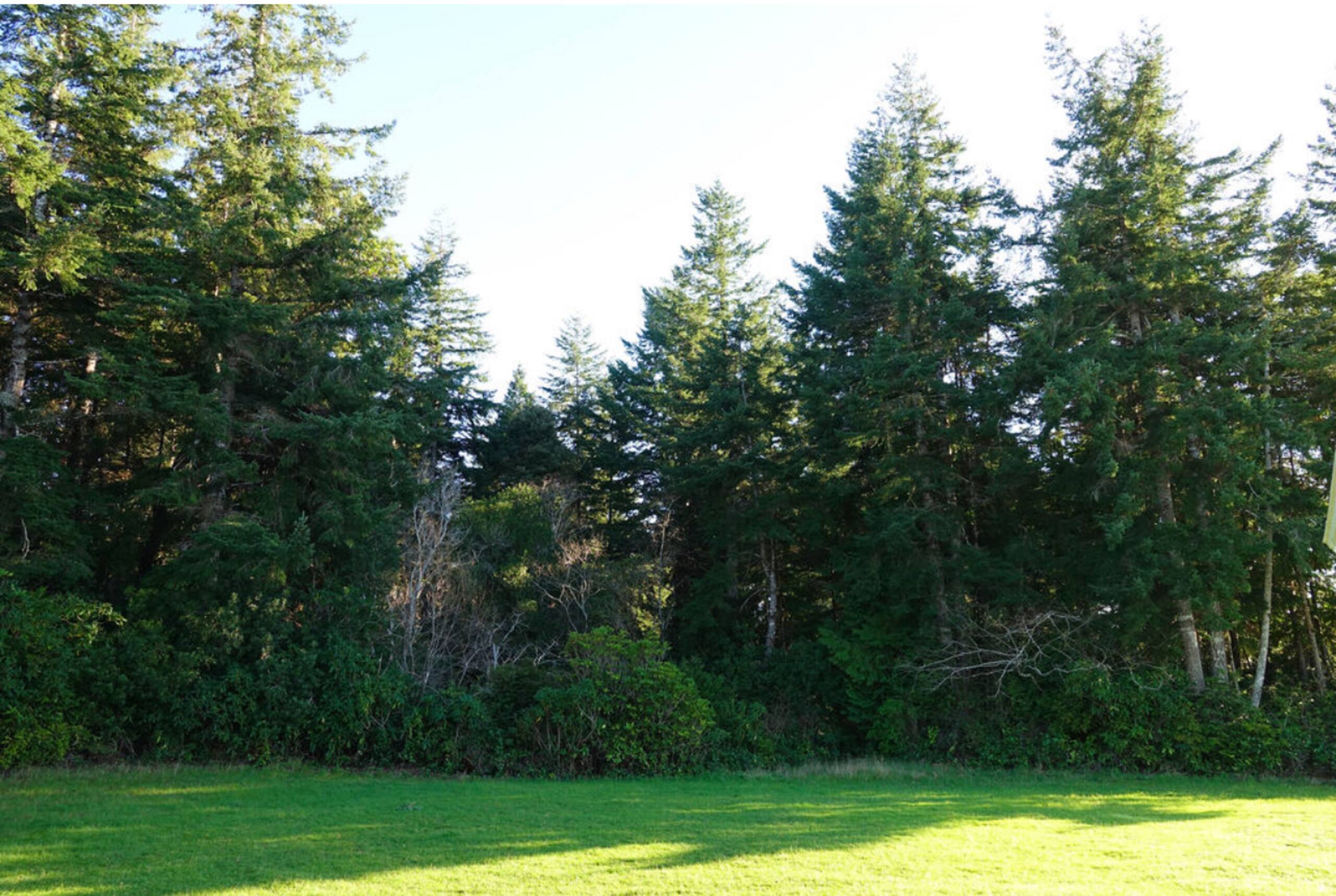 The Mulligan House—12 Miles to the Bandon Dunes 23