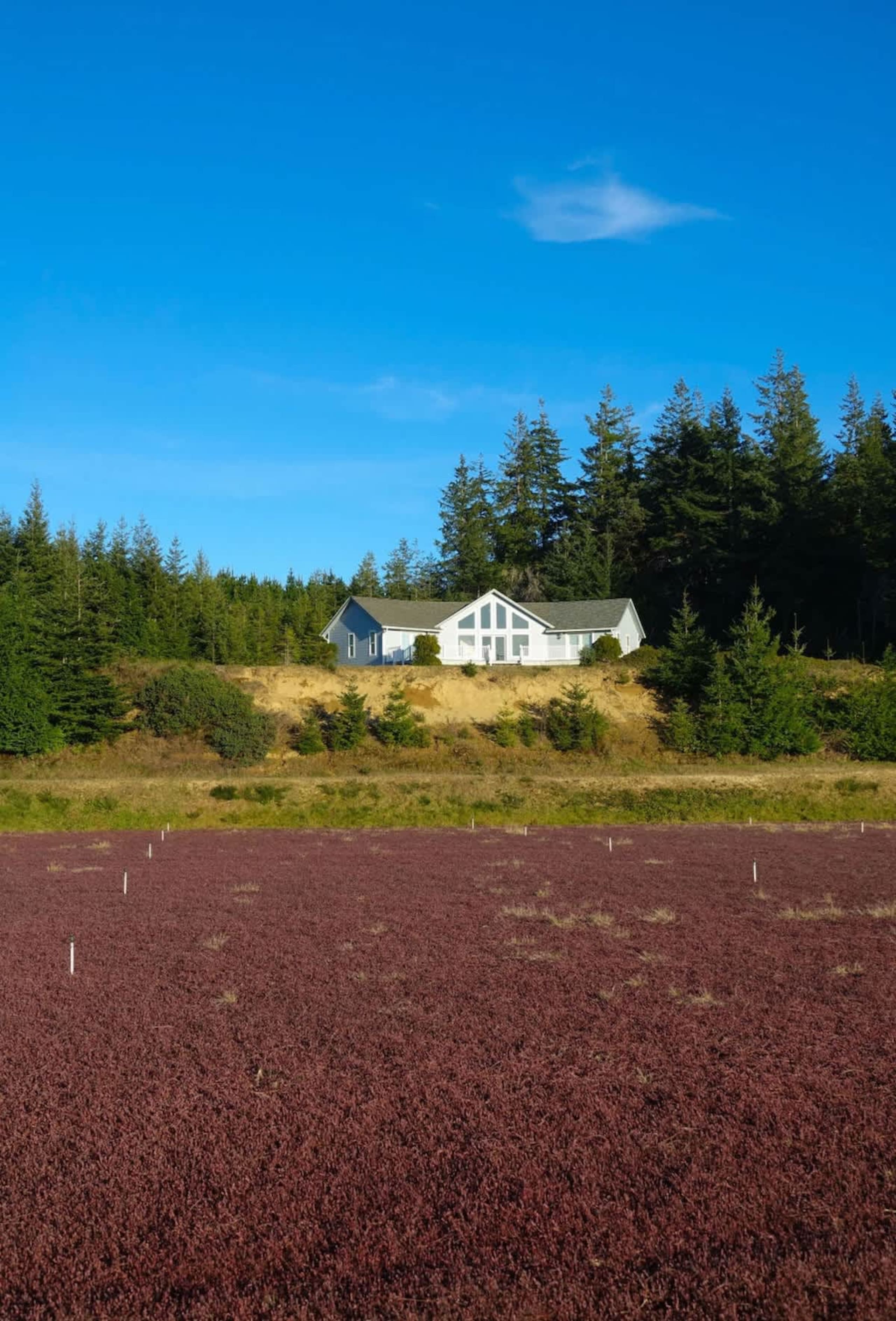 The Mulligan House—12 Miles to the Bandon Dunes — photo 2