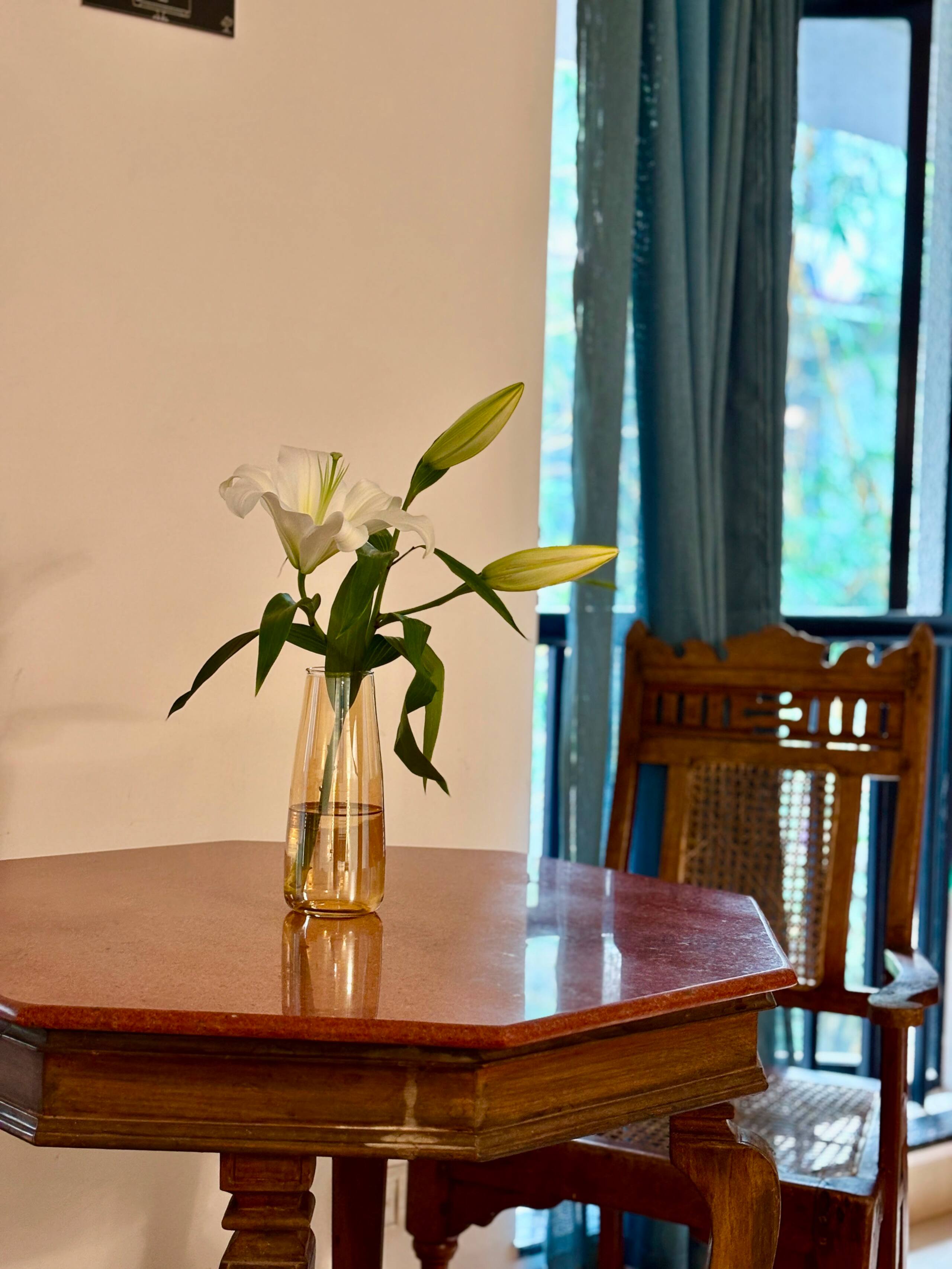 Stylish garden view studio in the heart of siolim 11