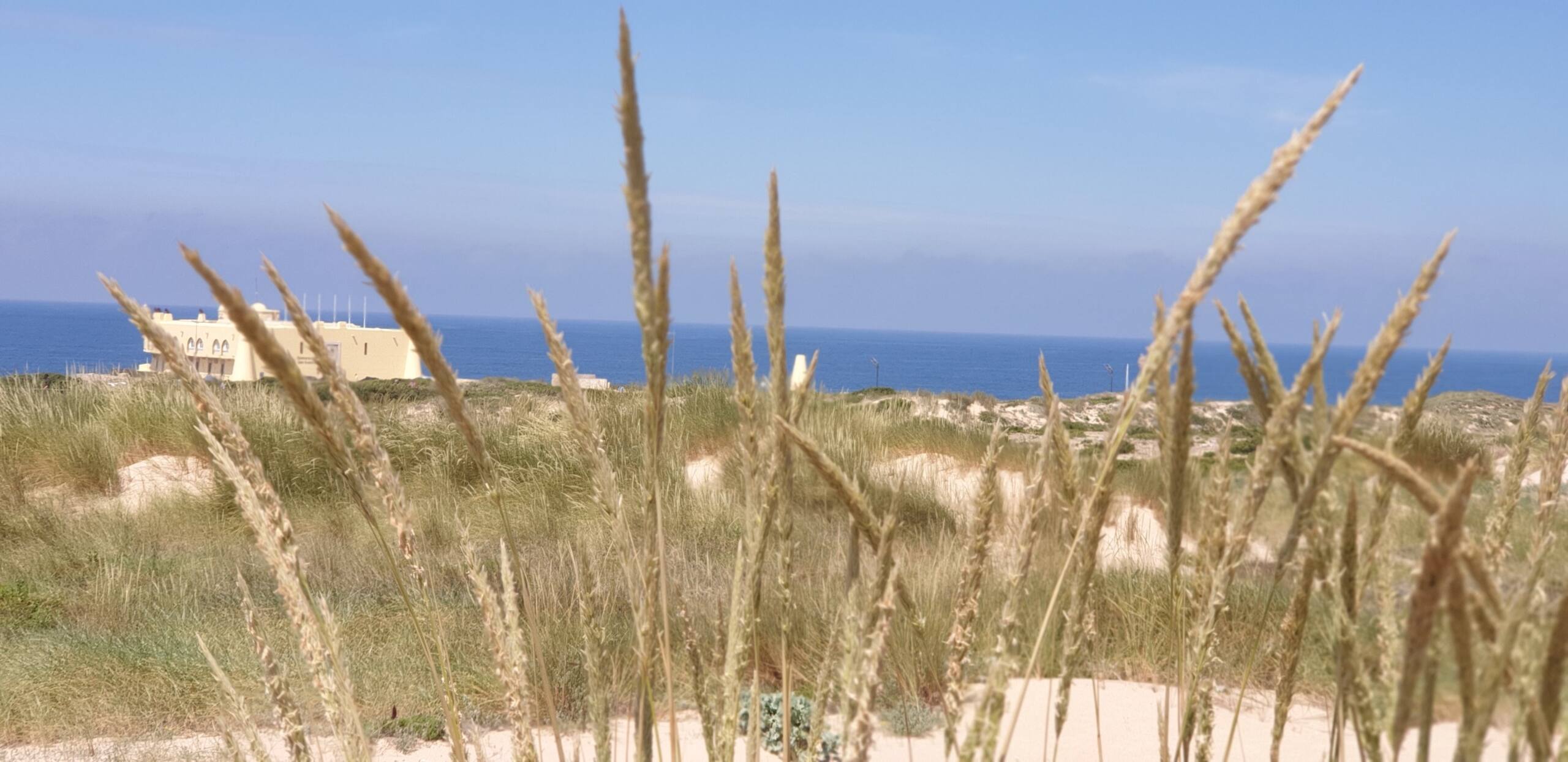 Parede Atlantic Lodge - Sea view apartment 7