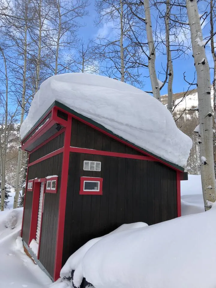Swiss Cottage Ski and Summer Retreat — photo 2