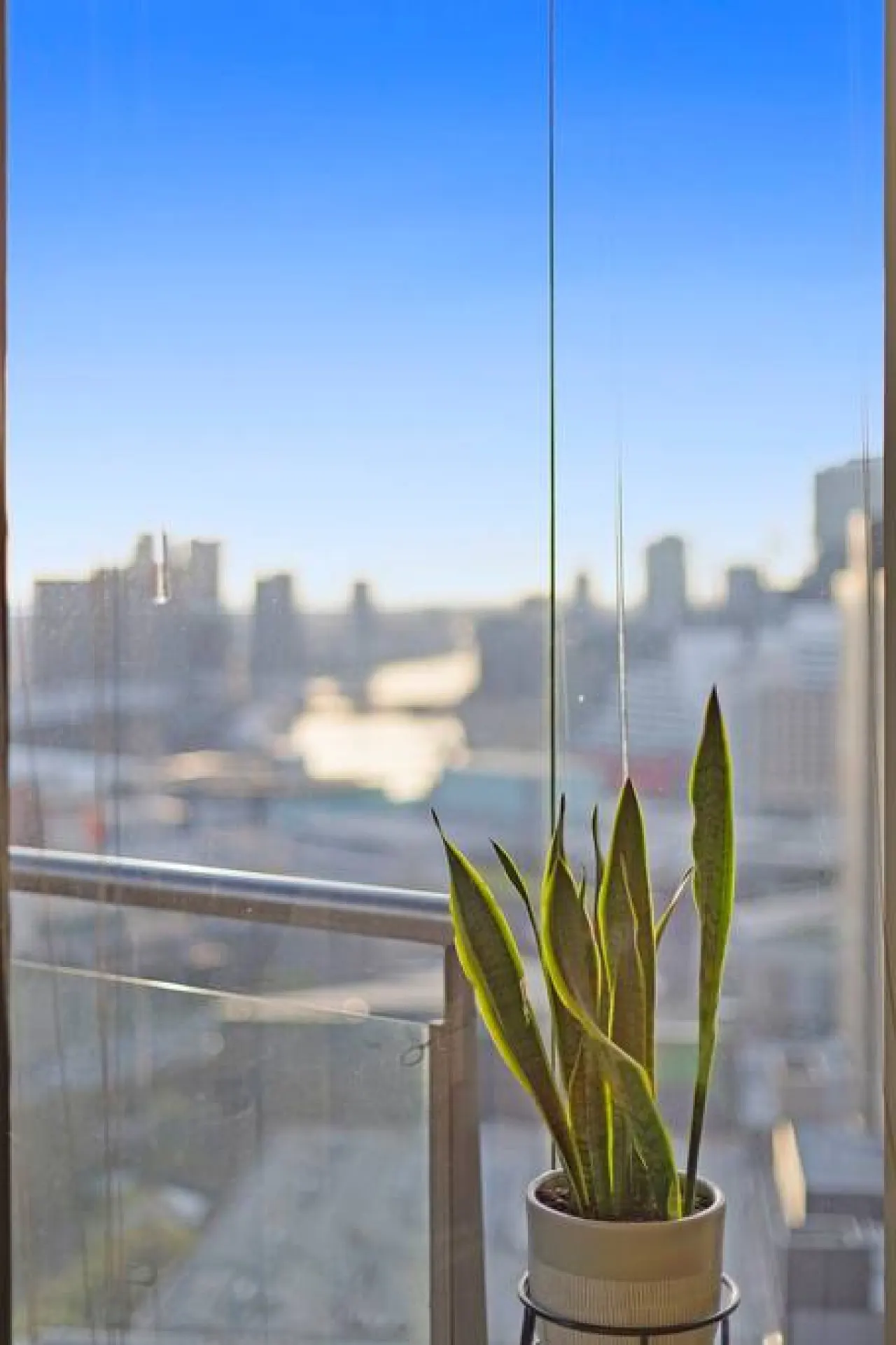 Amy: 2 Bed, 2 Bath Apartment 8
