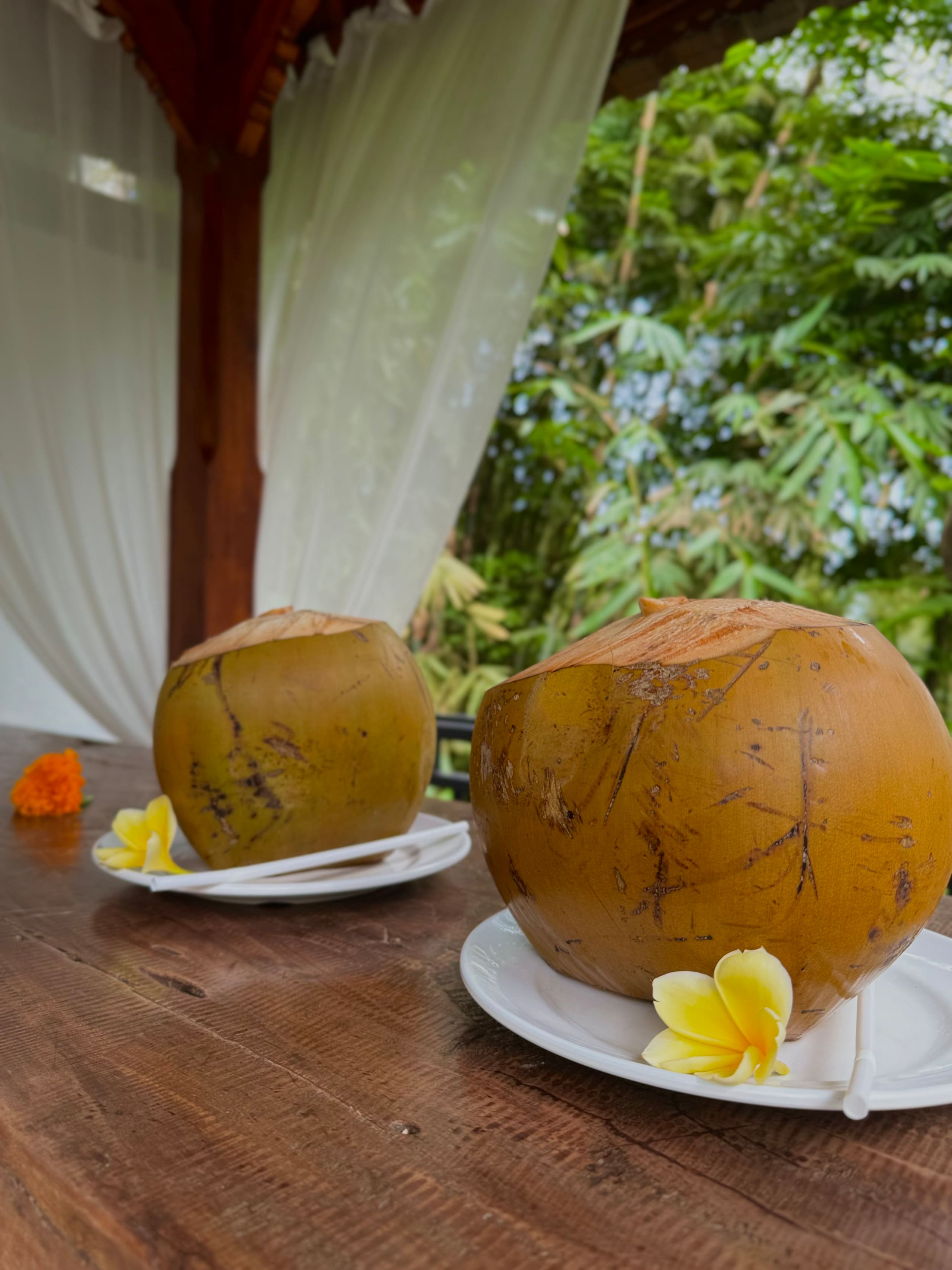 Pande Sebali Villas 2
