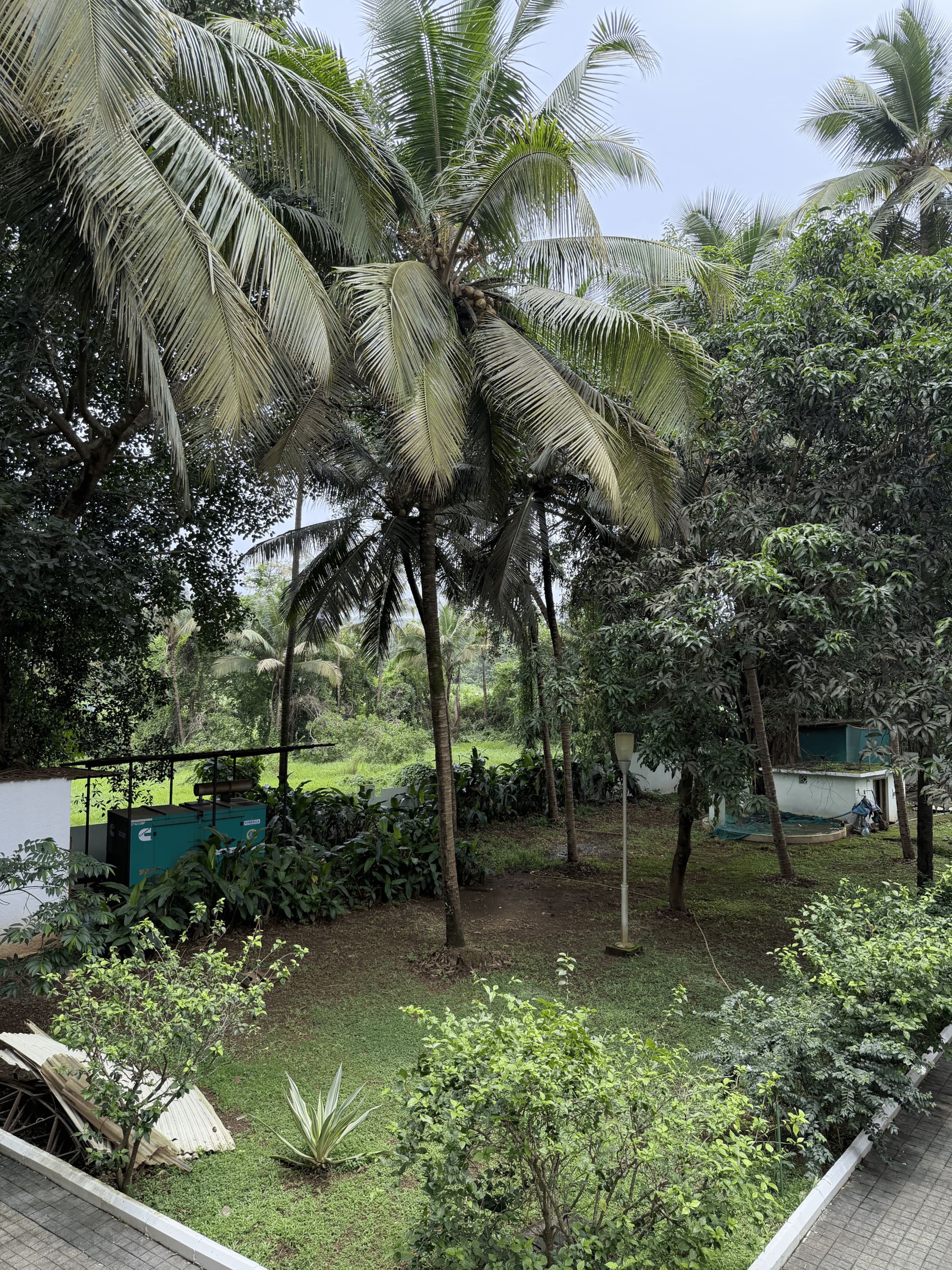 Cozy 1BHK with 2 Balcony in Siolim 8