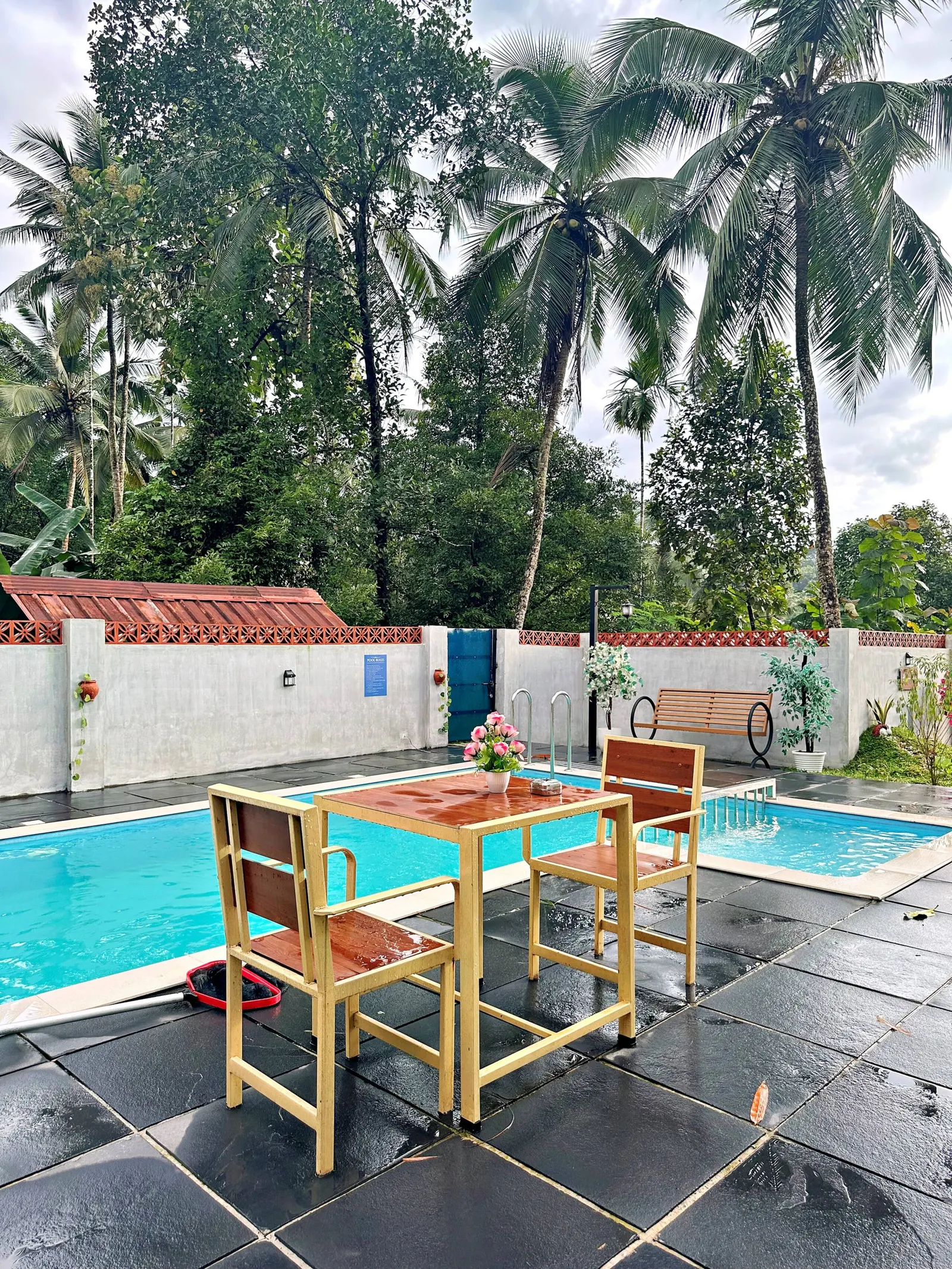 BougainVilla-farmhouse.thusharagiri,Kakkadampoyil 30