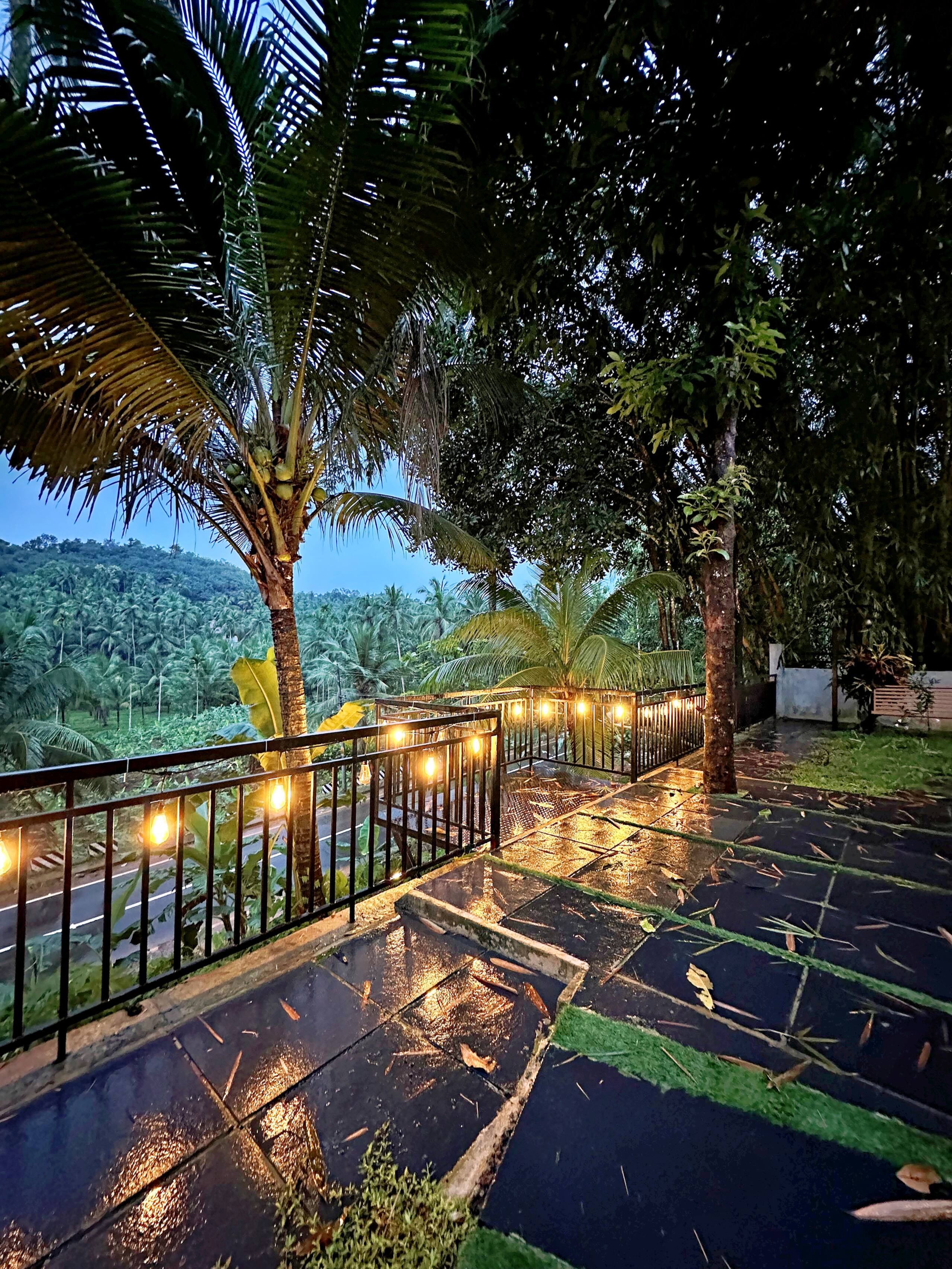 BougainVilla-farmhouse.thusharagiri,Kakkadampoyil 32