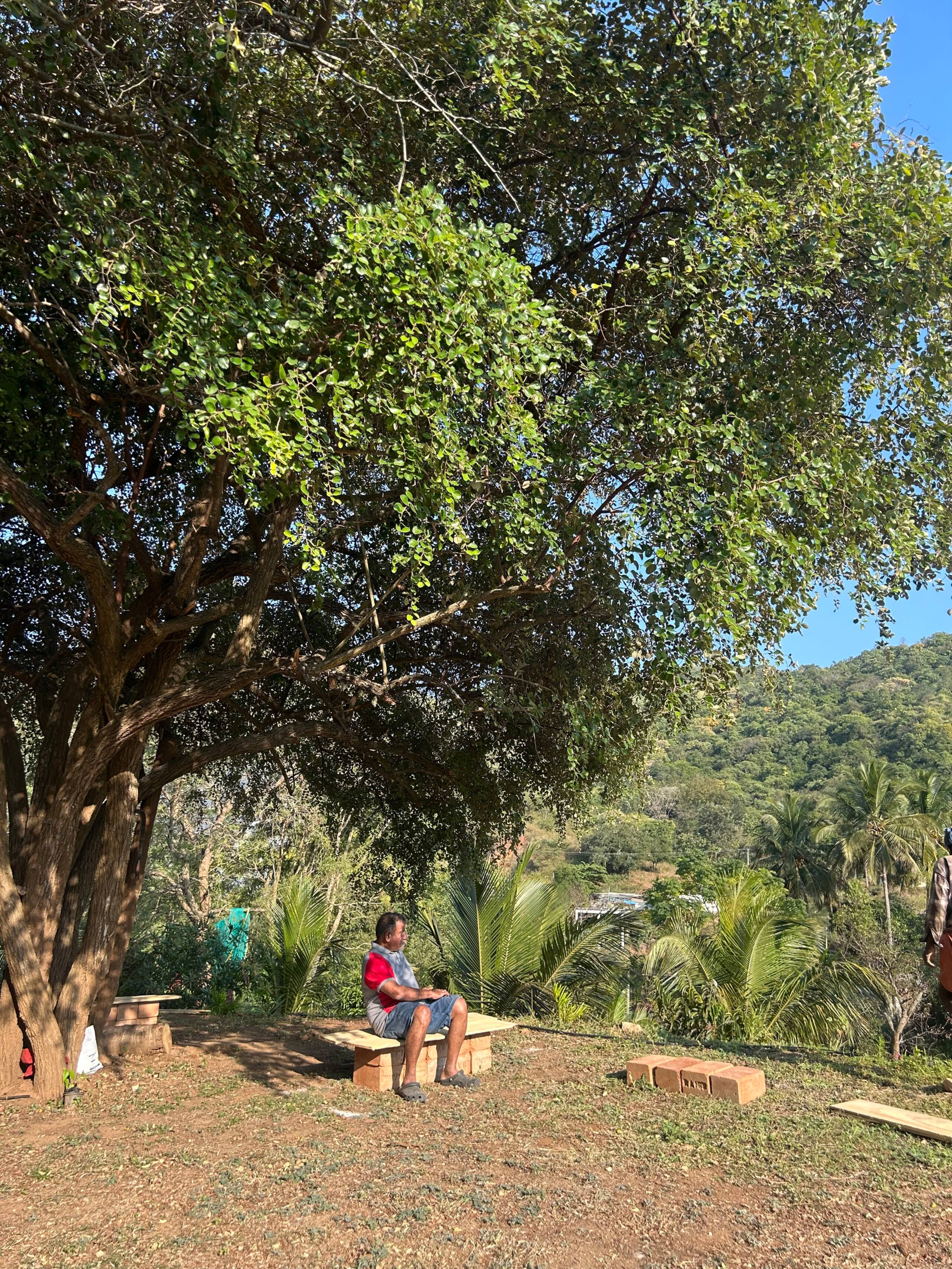 Prakriti - Farm Stay at Anaikatti Hills 38