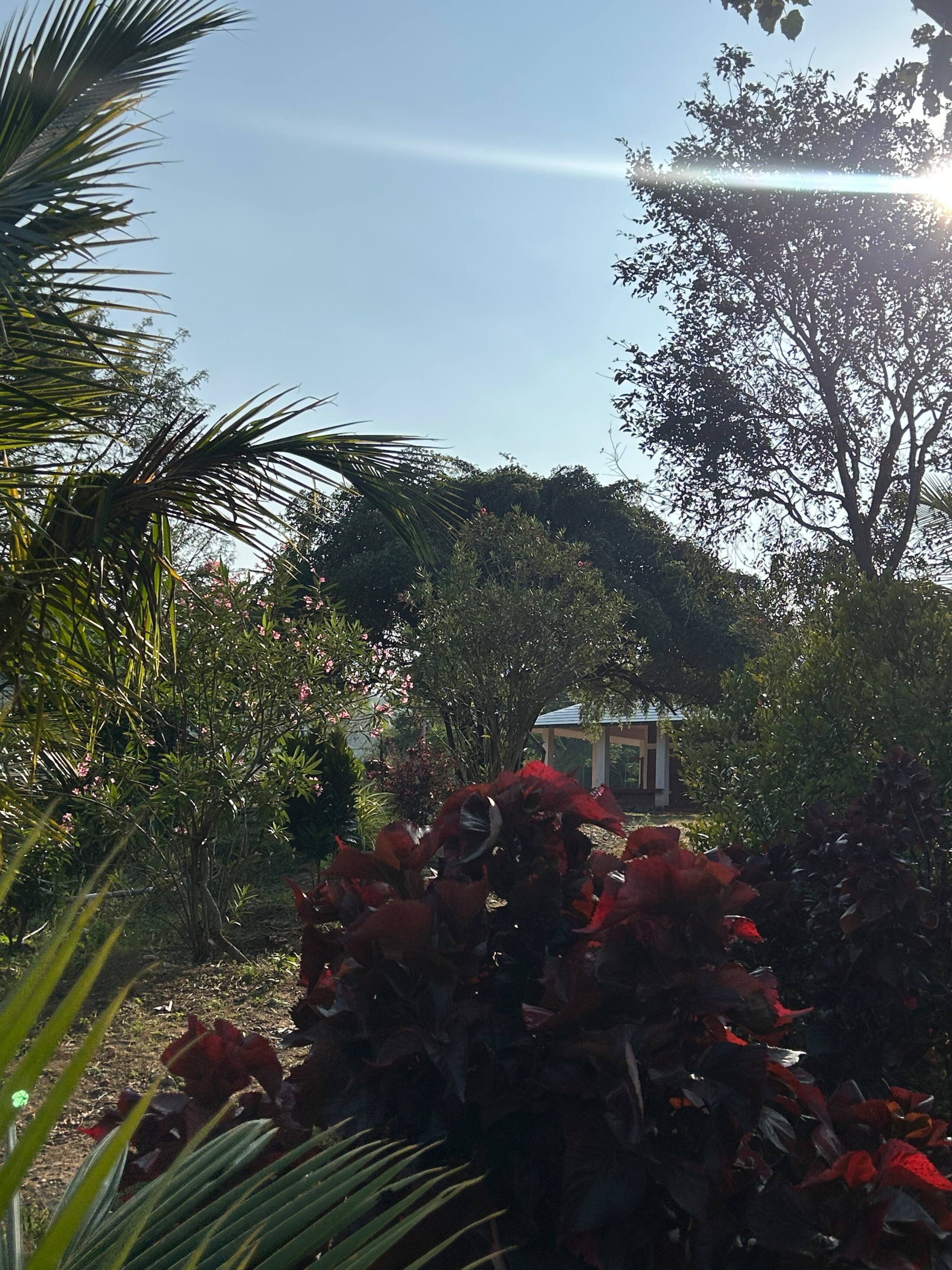 Prakriti - Farm Stay at Anaikatti Hills 6