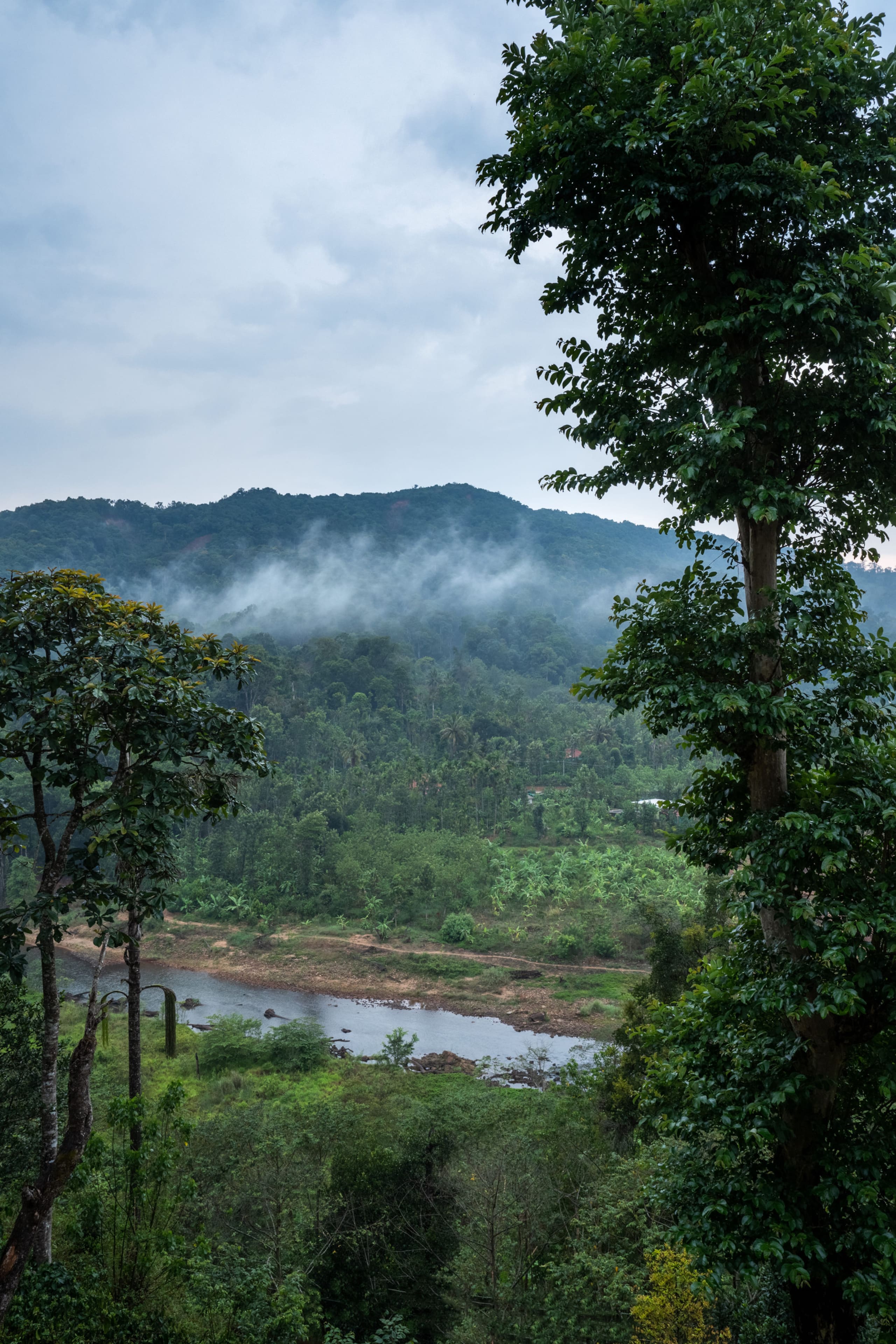 Whispering Waters - Villa with Breathtaking Views — photo 5