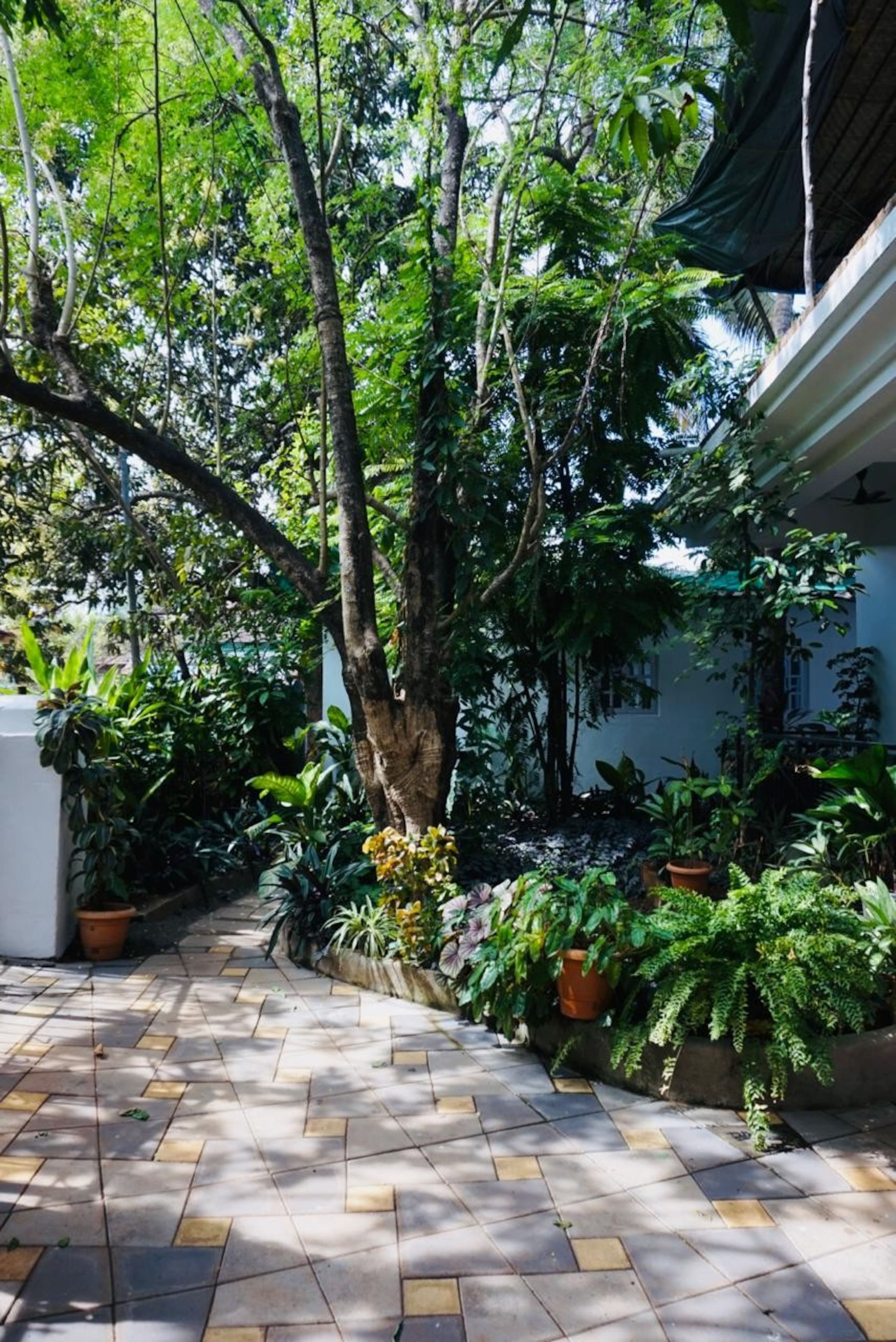The Lazy Leaf 4BHK Private Compound Anjuna 7