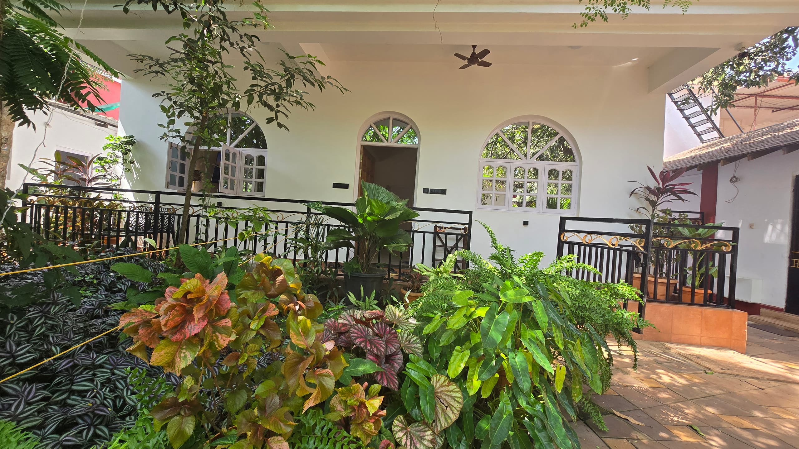 The Lazy Leaf 4BHK Private Compound Anjuna 8