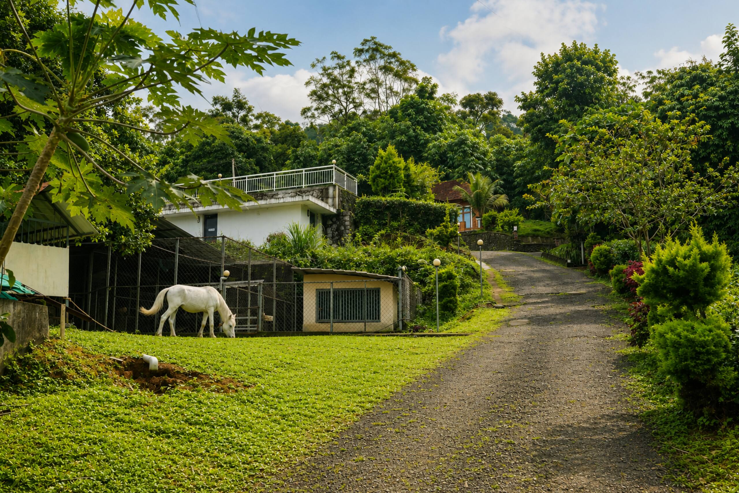 Wood House Honeymoon Cottage 33