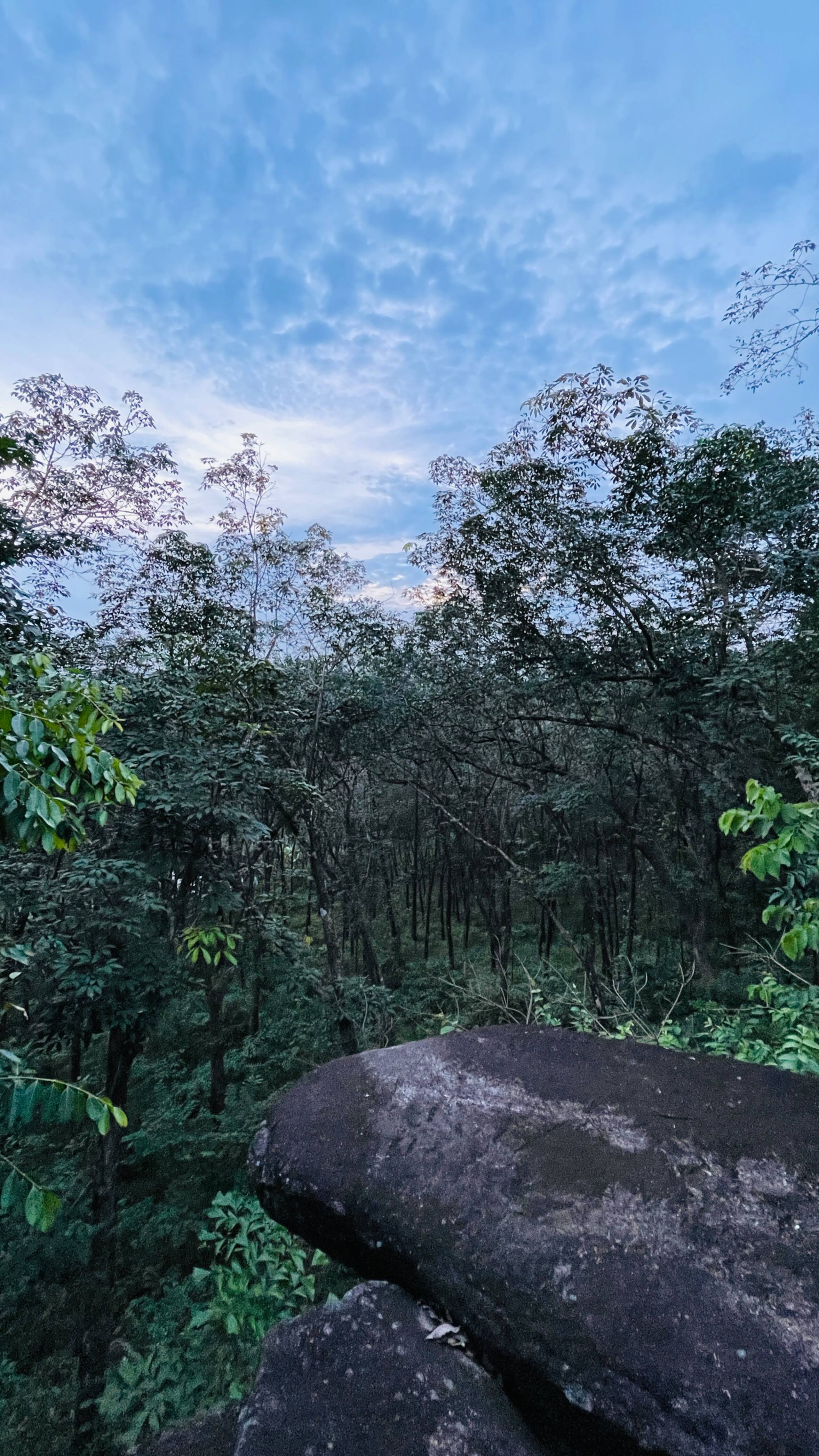 Cottage w pool near Jatayu earth centre | Llavu 25