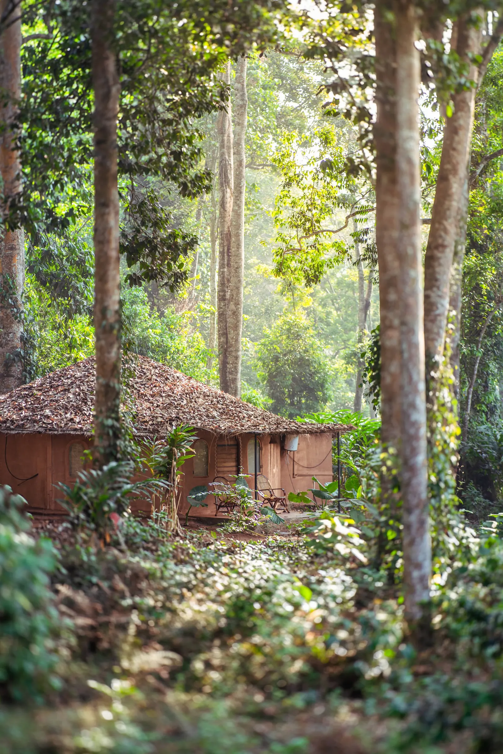 Mushroom Hut with Jacuzzi Wayanad 1