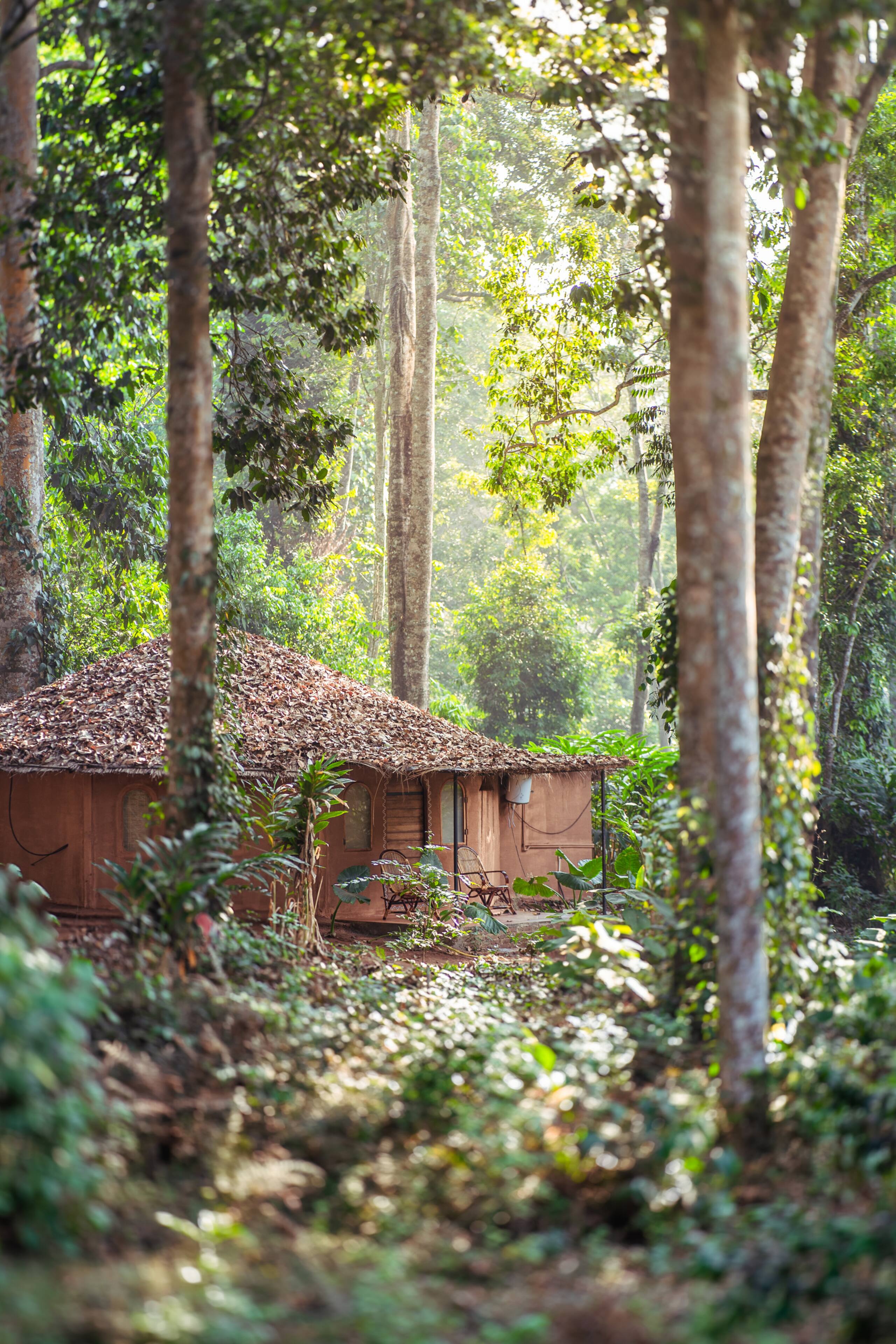 Mushroom Hut with Jacuzzi Wayanad 1