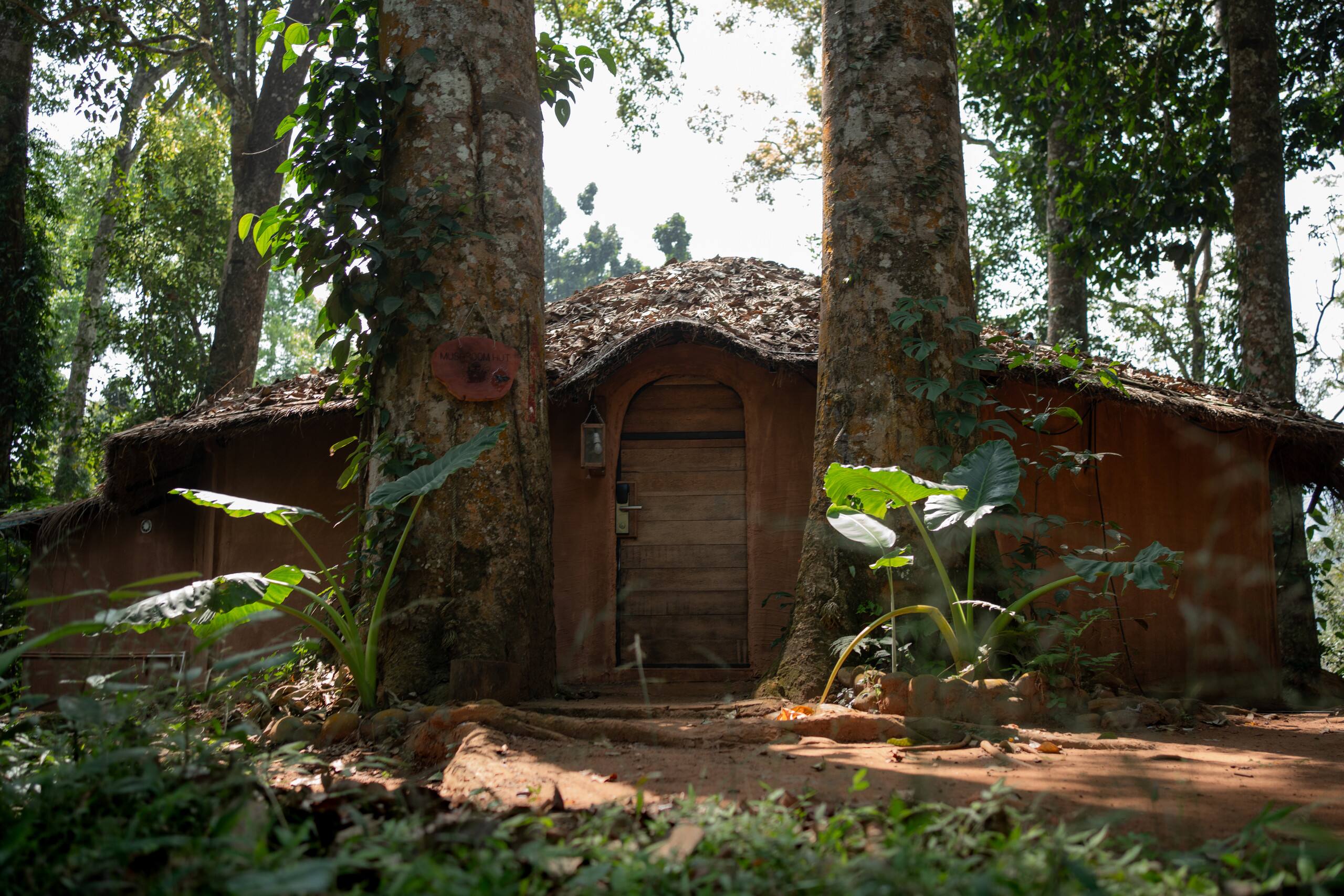 Mushroom Hut with Jacuzzi Wayanad 8