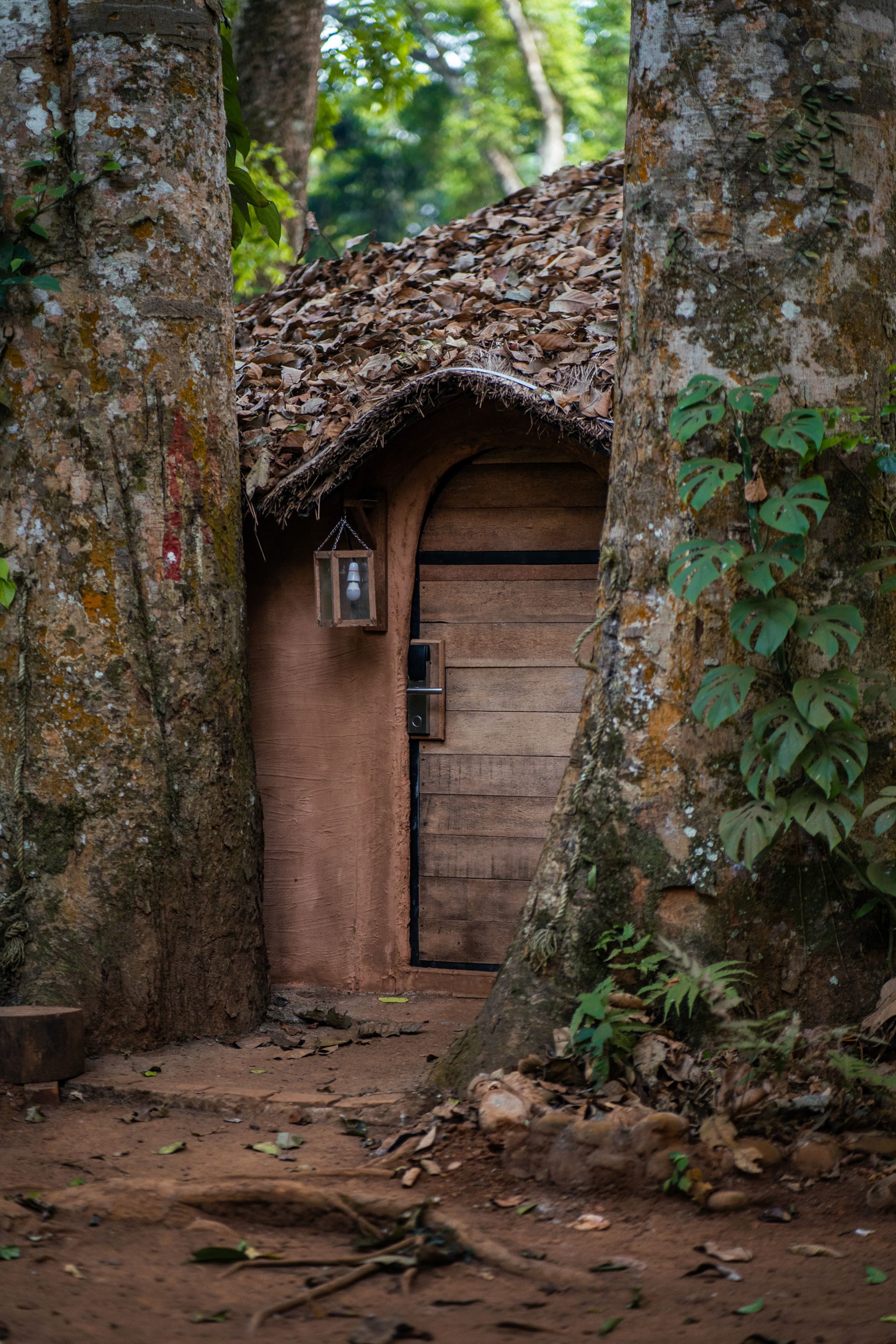 Mushroom Hut with Jacuzzi Wayanad 14