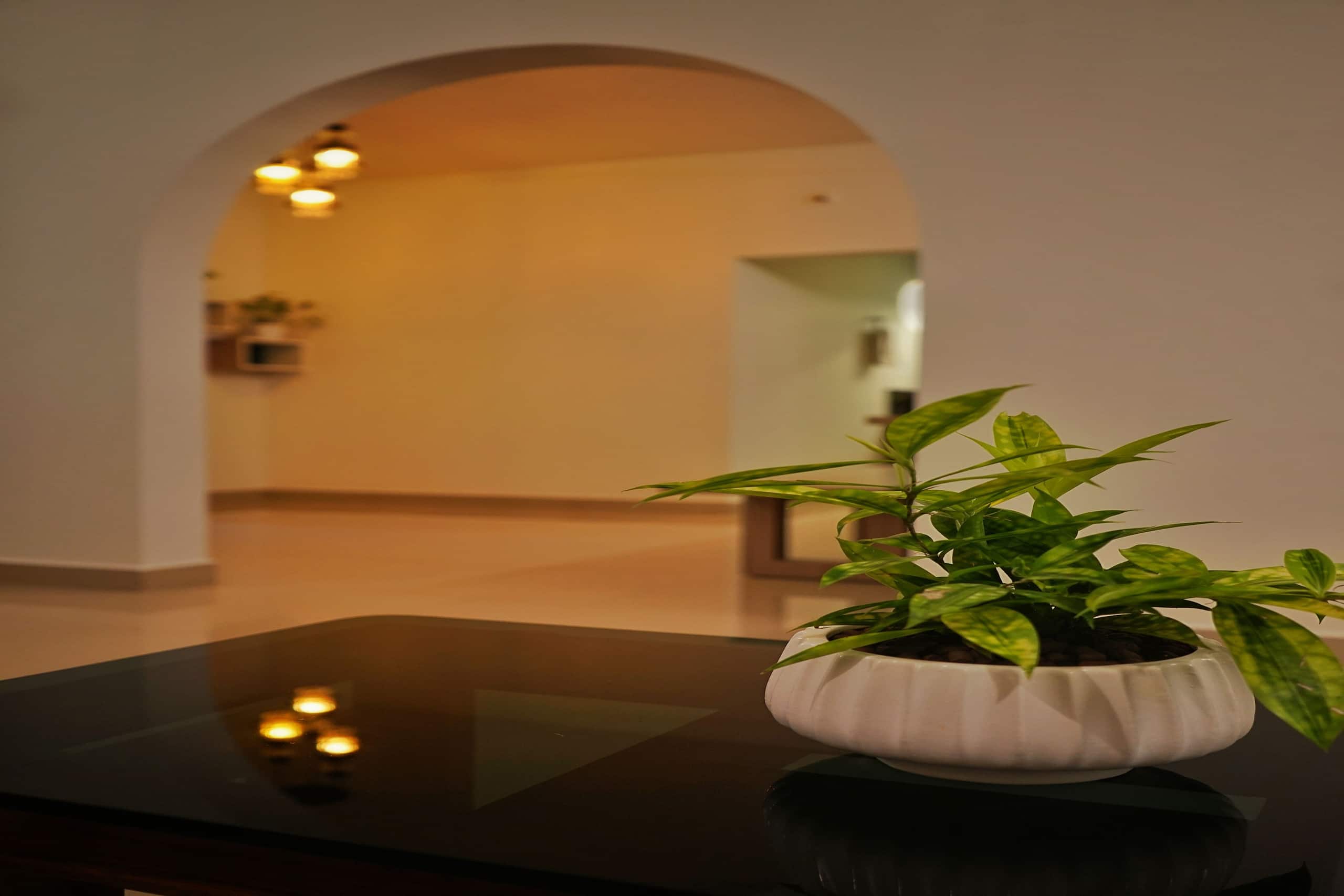 The Explorers Nest | Private Villa | Full Kitchen 12