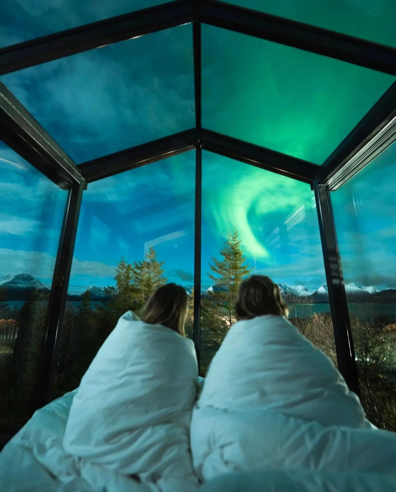 Cloud 9 • Glass Roof Cabin • WonderInn Arctic