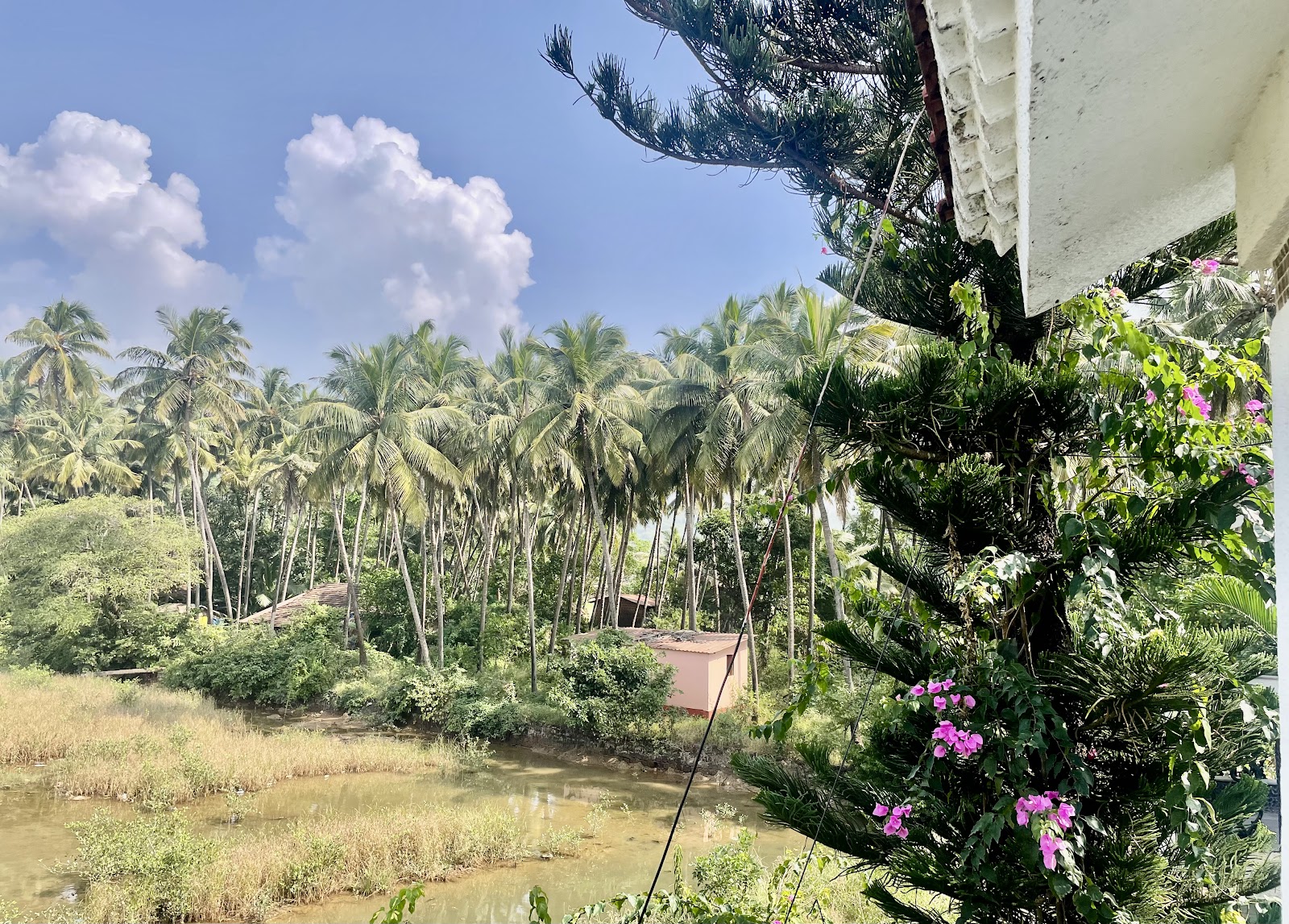Amigos goa villa pool view 2bhk luxury villa 7
