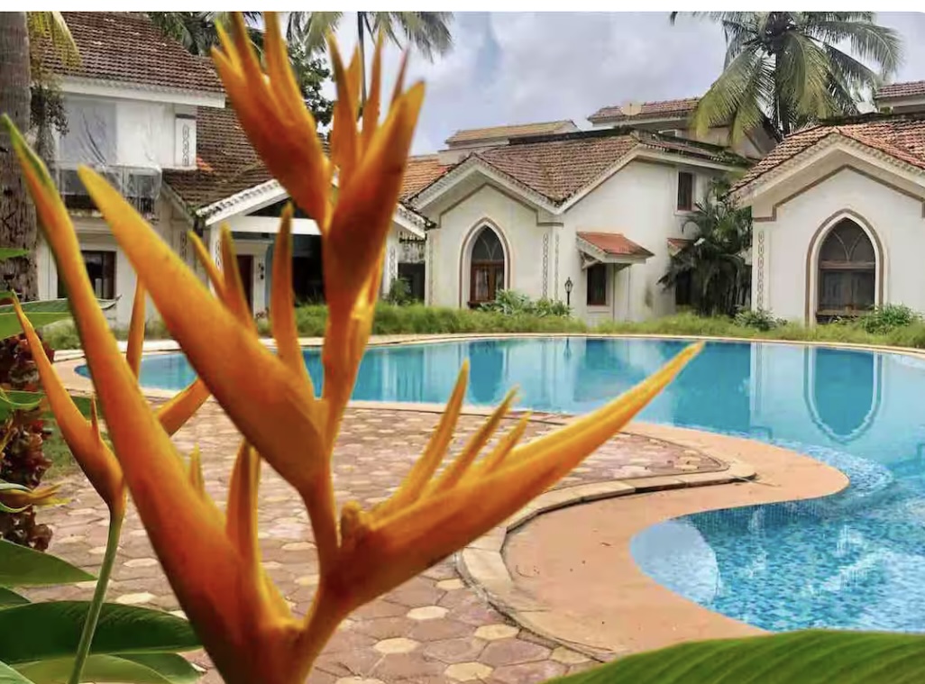 Amigos goa villa pool view 2bhk luxury villa 10