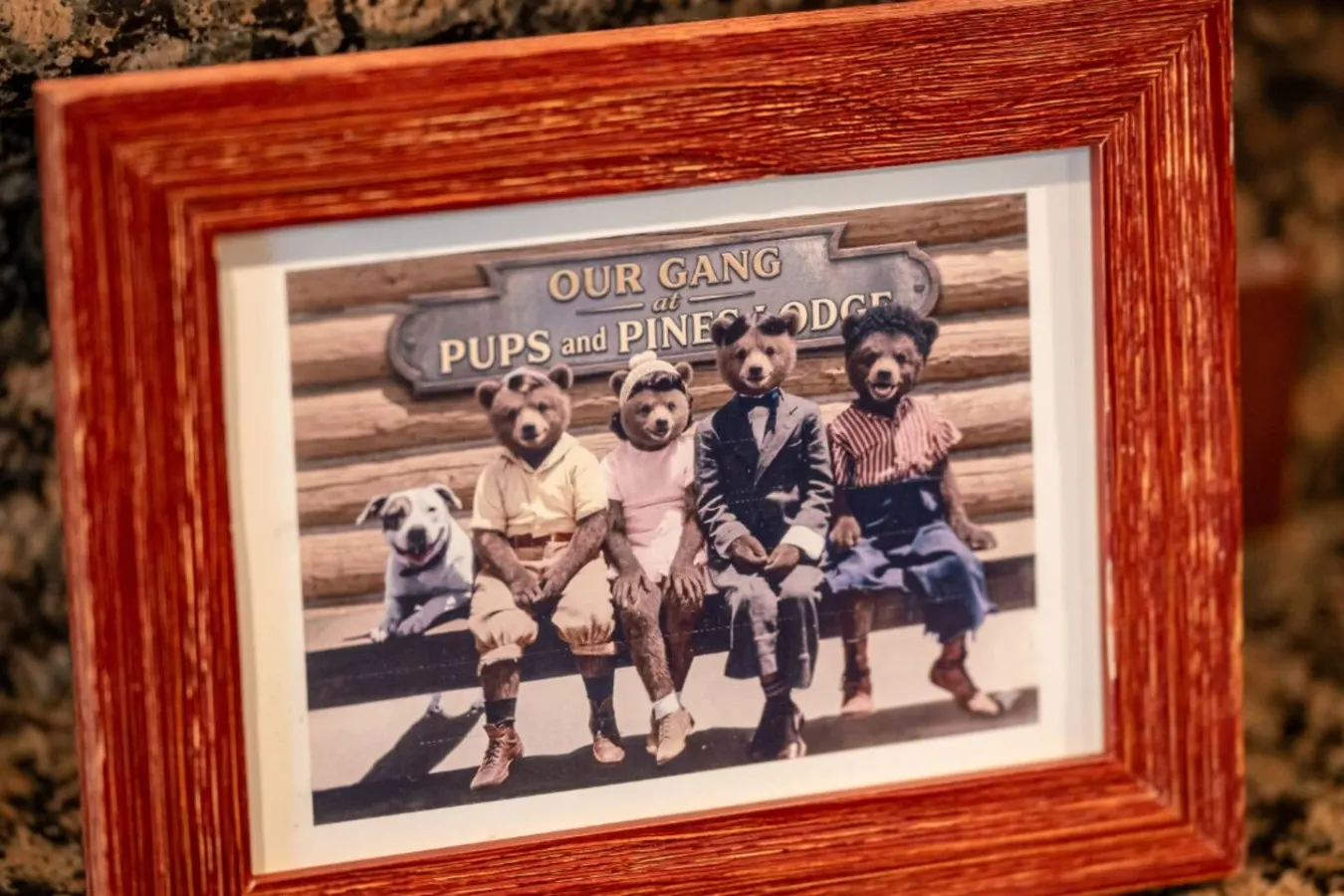 Pups and Pine Lodge w/ BBQ Deck, Hot tub & Games 8