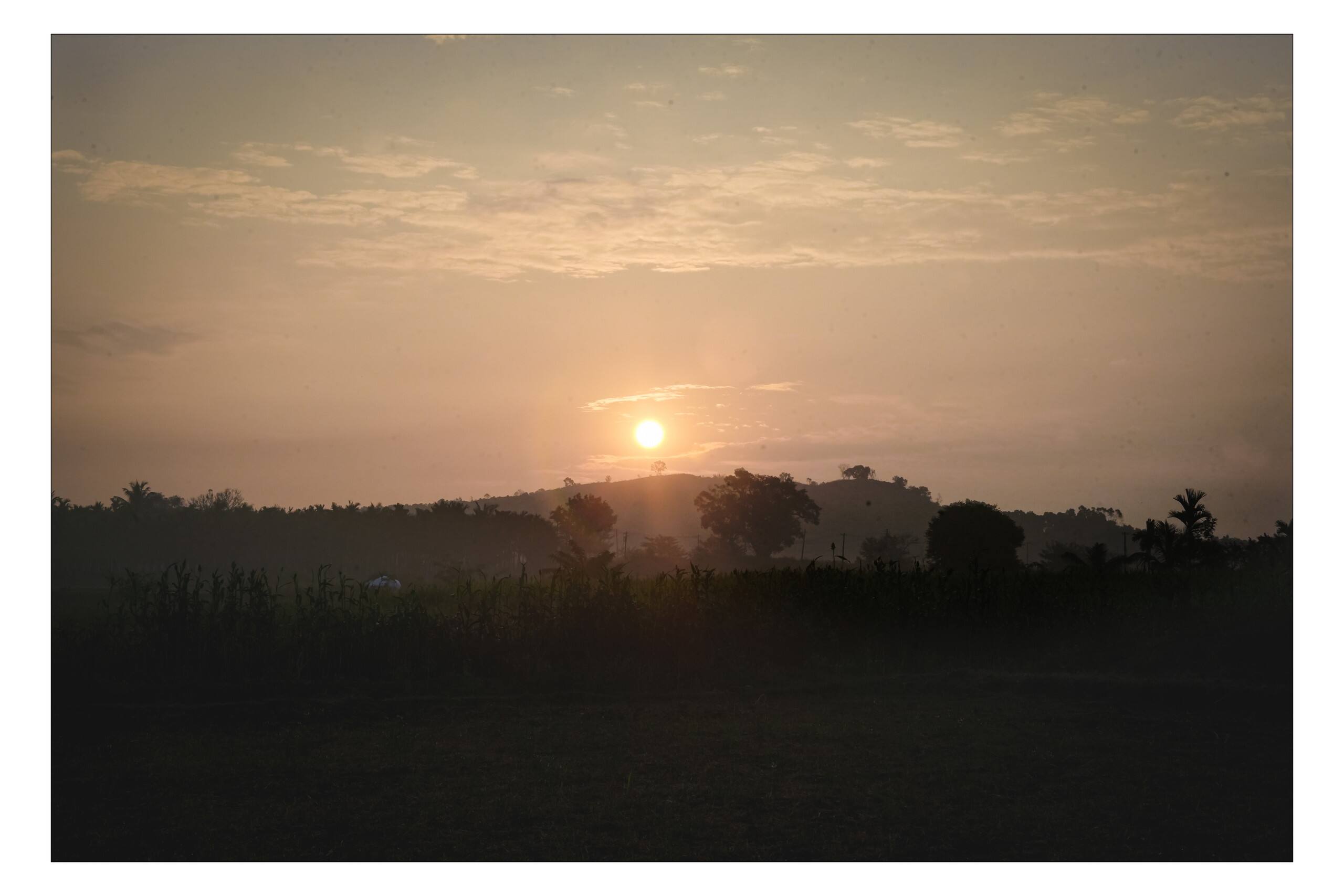 ARIVU Lakeview FarmHouse;Chikmagalur (Summer off) 32