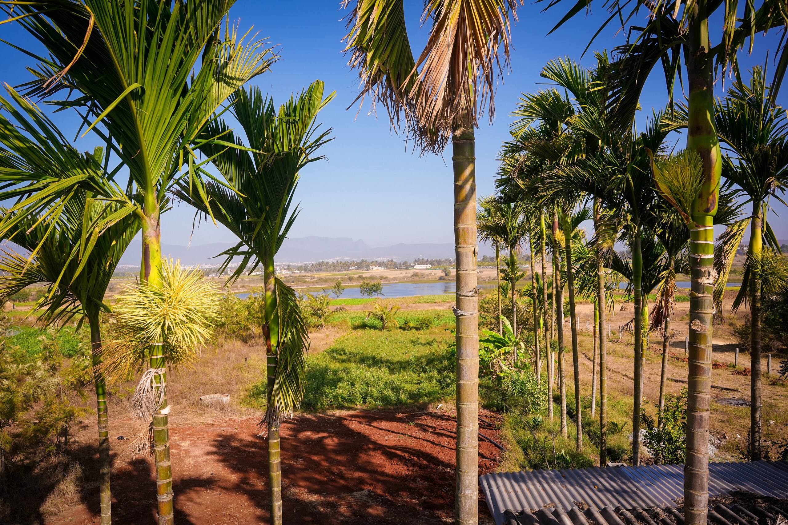 ARIVU Lakeview FarmHouse;Chikmagalur (Summer off) 3