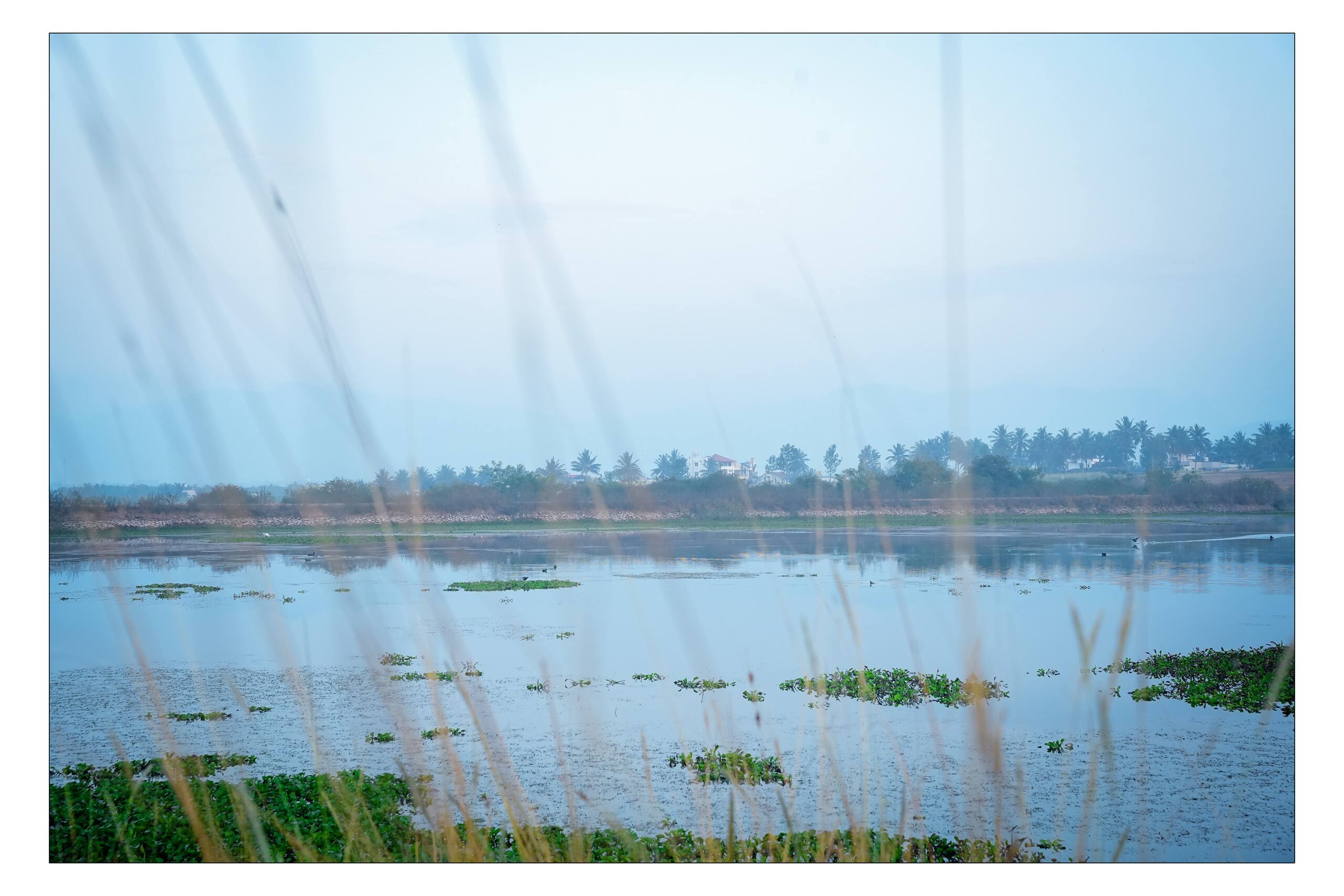 ARIVU Lakeview FarmHouse;Chikmagalur (Summer off) 30