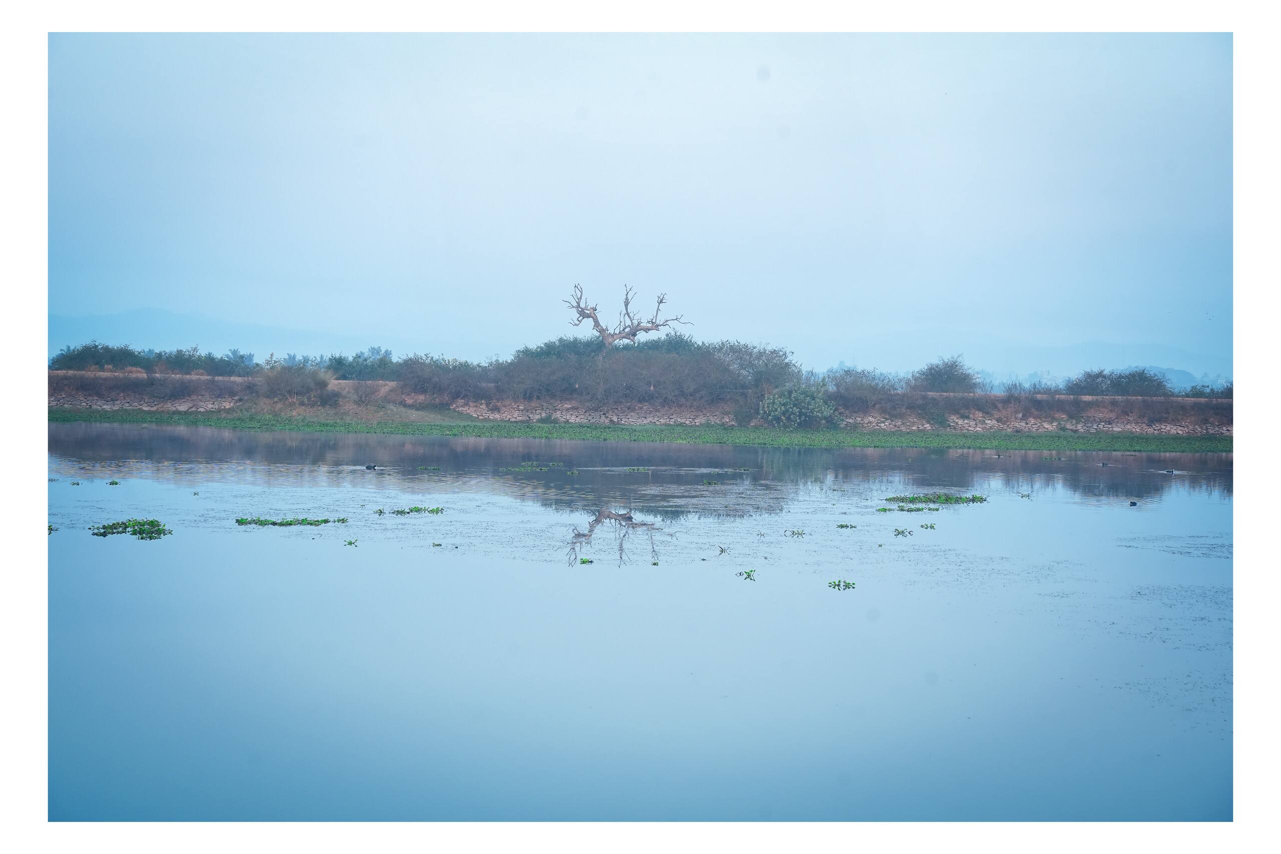 ARIVU Lakeview FarmHouse;Chikmagalur (Summer off) 29