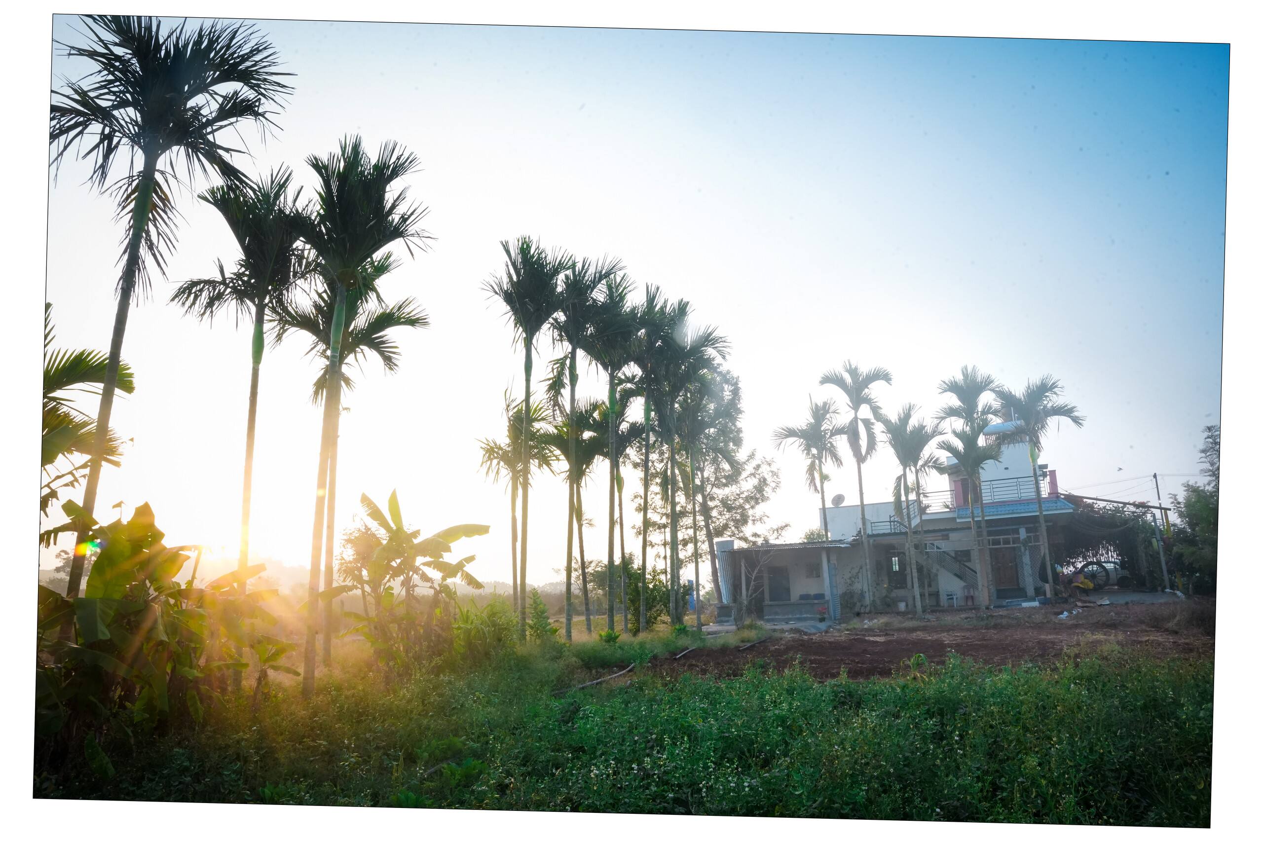 ARIVU Lakeview FarmHouse;Chikmagalur (Summer off) 23