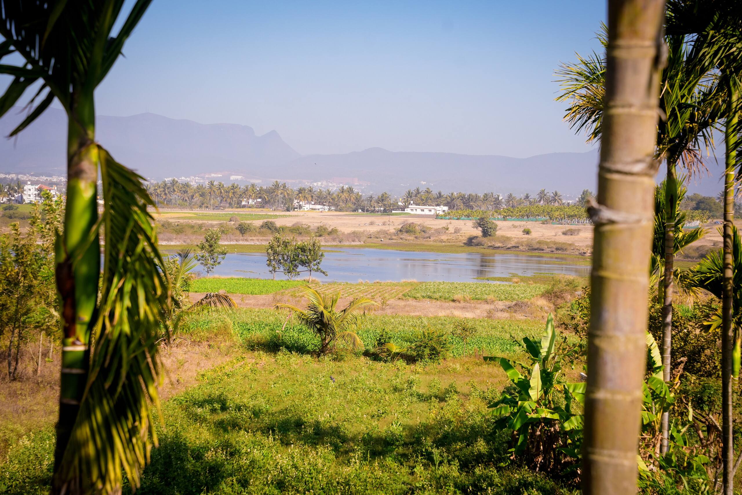 ARIVU Lakeview FarmHouse;Chikmagalur (Summer off) 20