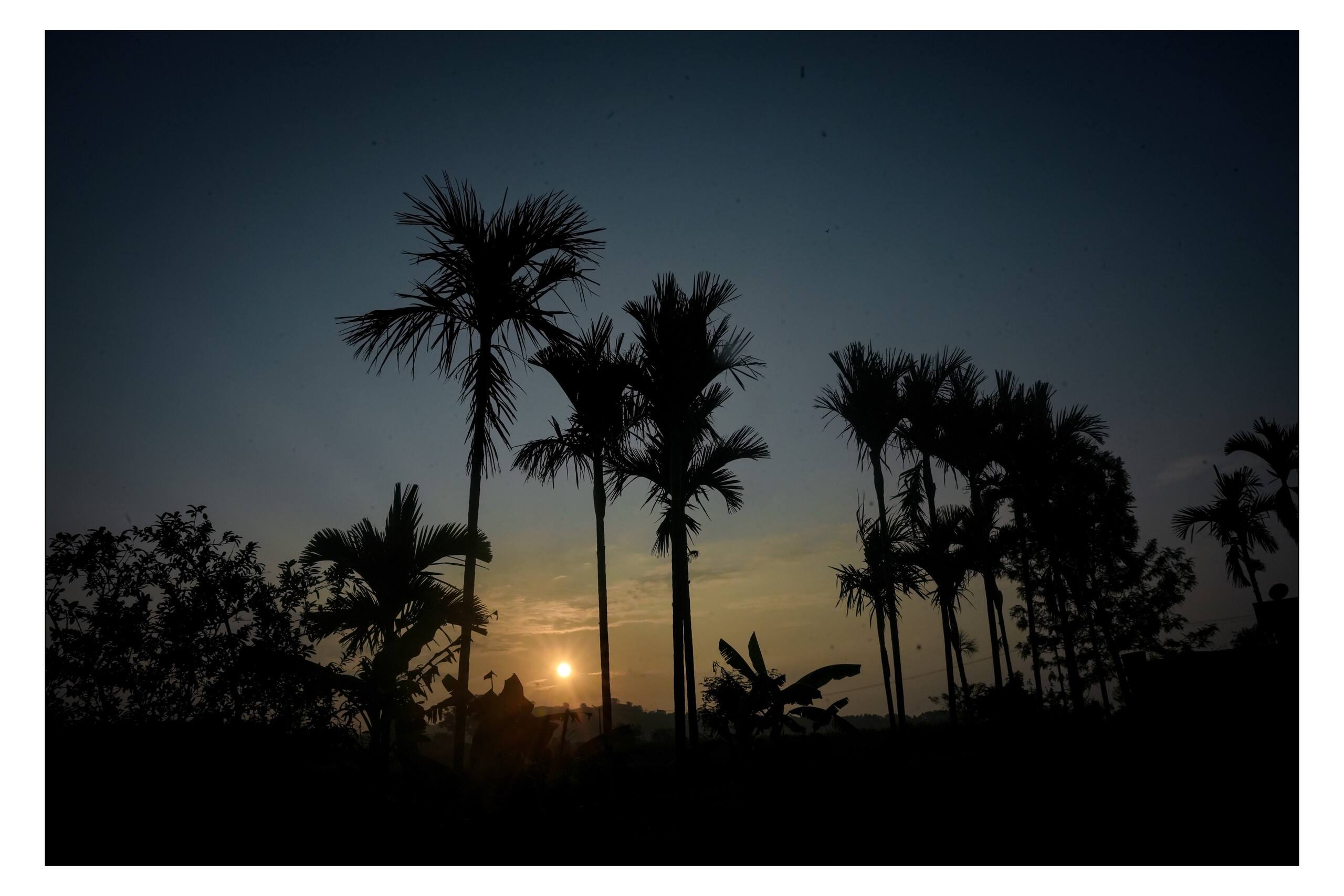 ARIVU Lakeview FarmHouse;Chikmagalur (Summer off) 31
