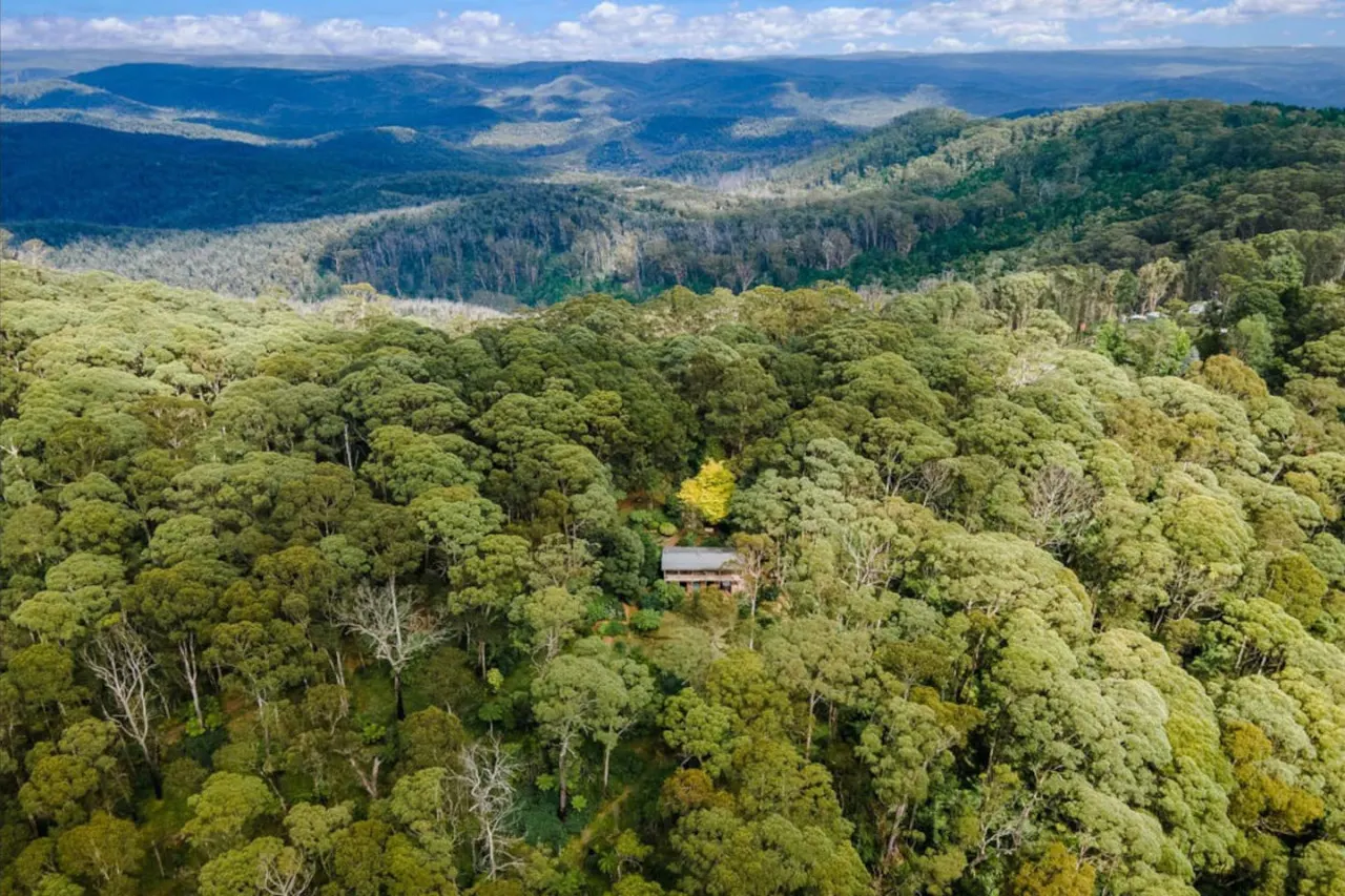 The Cabin, Mt Wilson 19