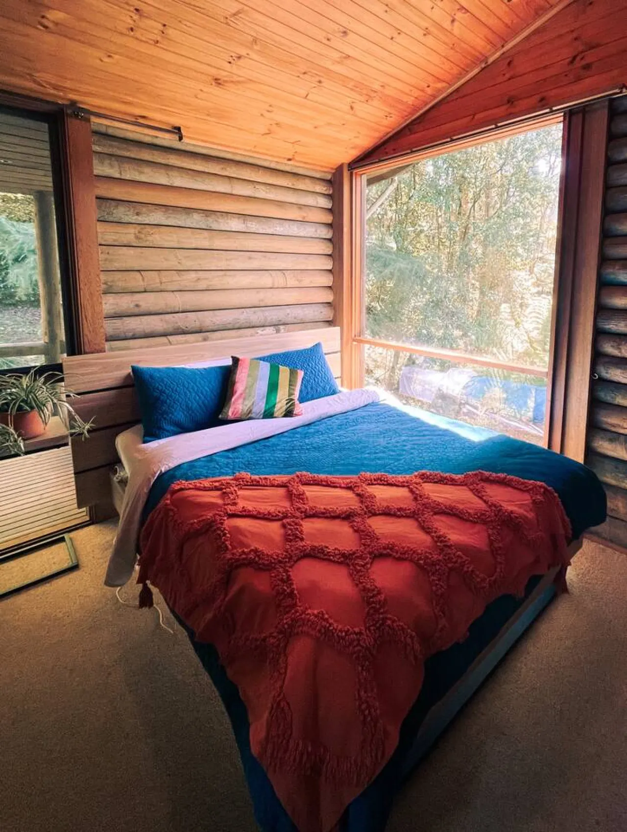The Cabin, Mt Wilson 6