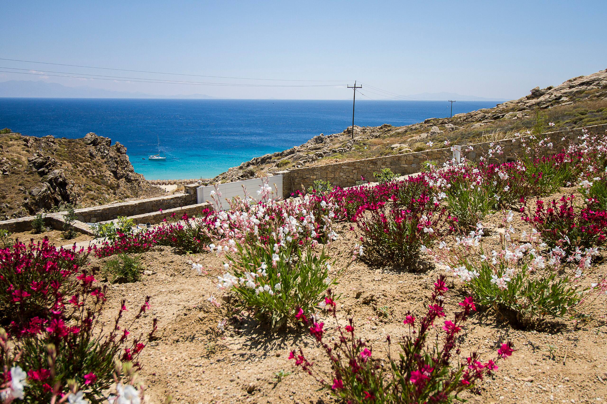 Anarina Elite Villa Mykonos Elia Beach 26