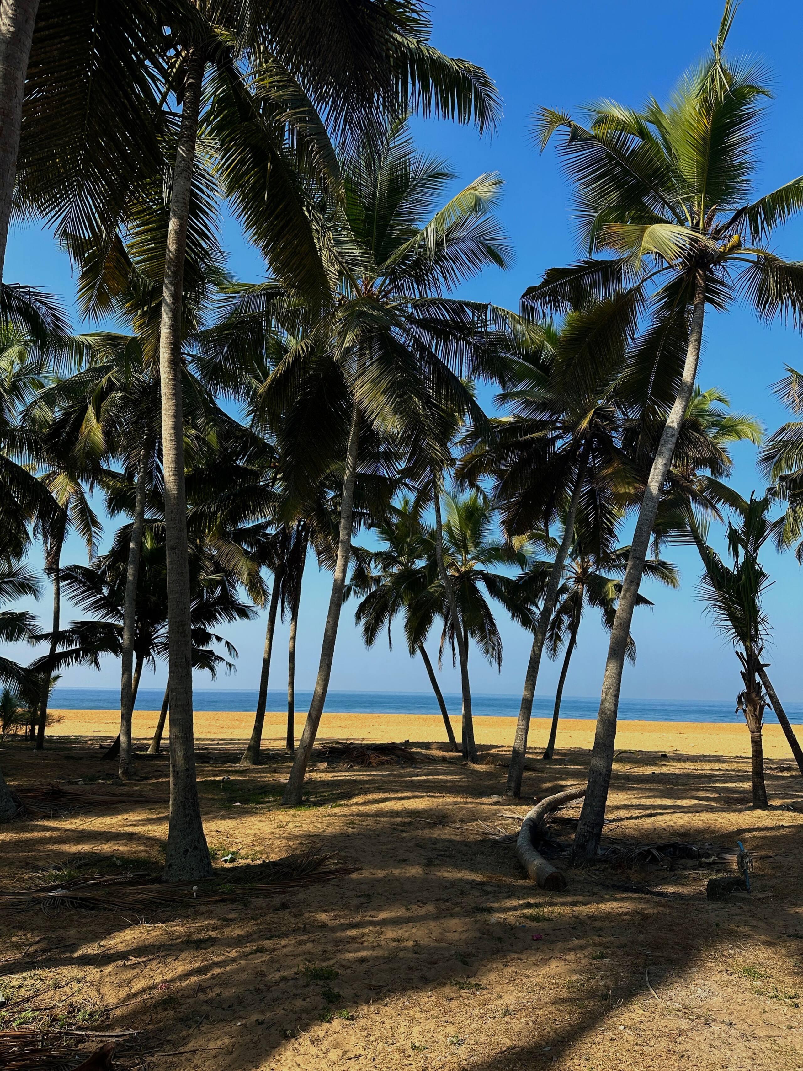 Spacious Beach House -Private - Friends - Families 30