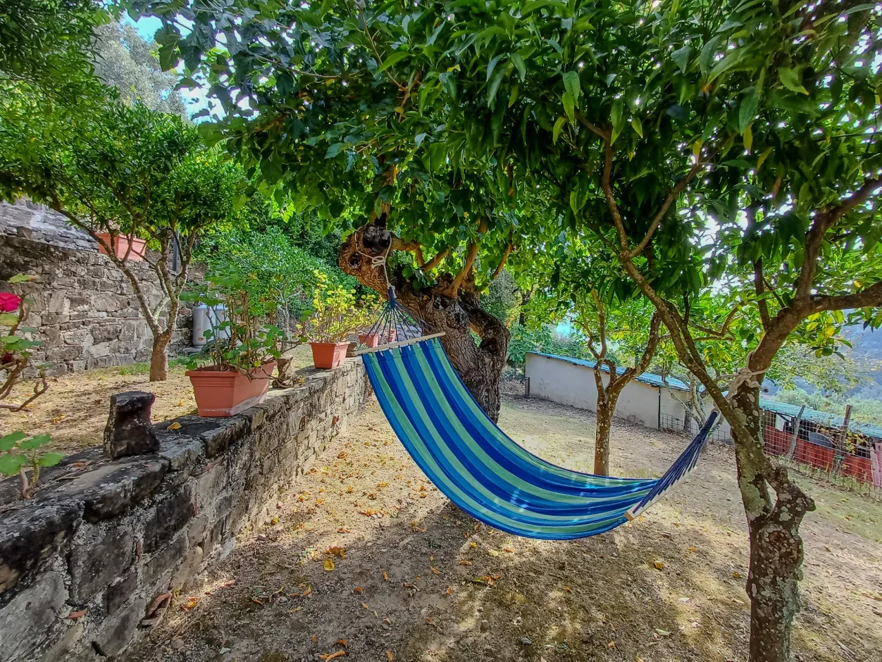 Casale storico nella campagna cilentana - App.1 — photo 4