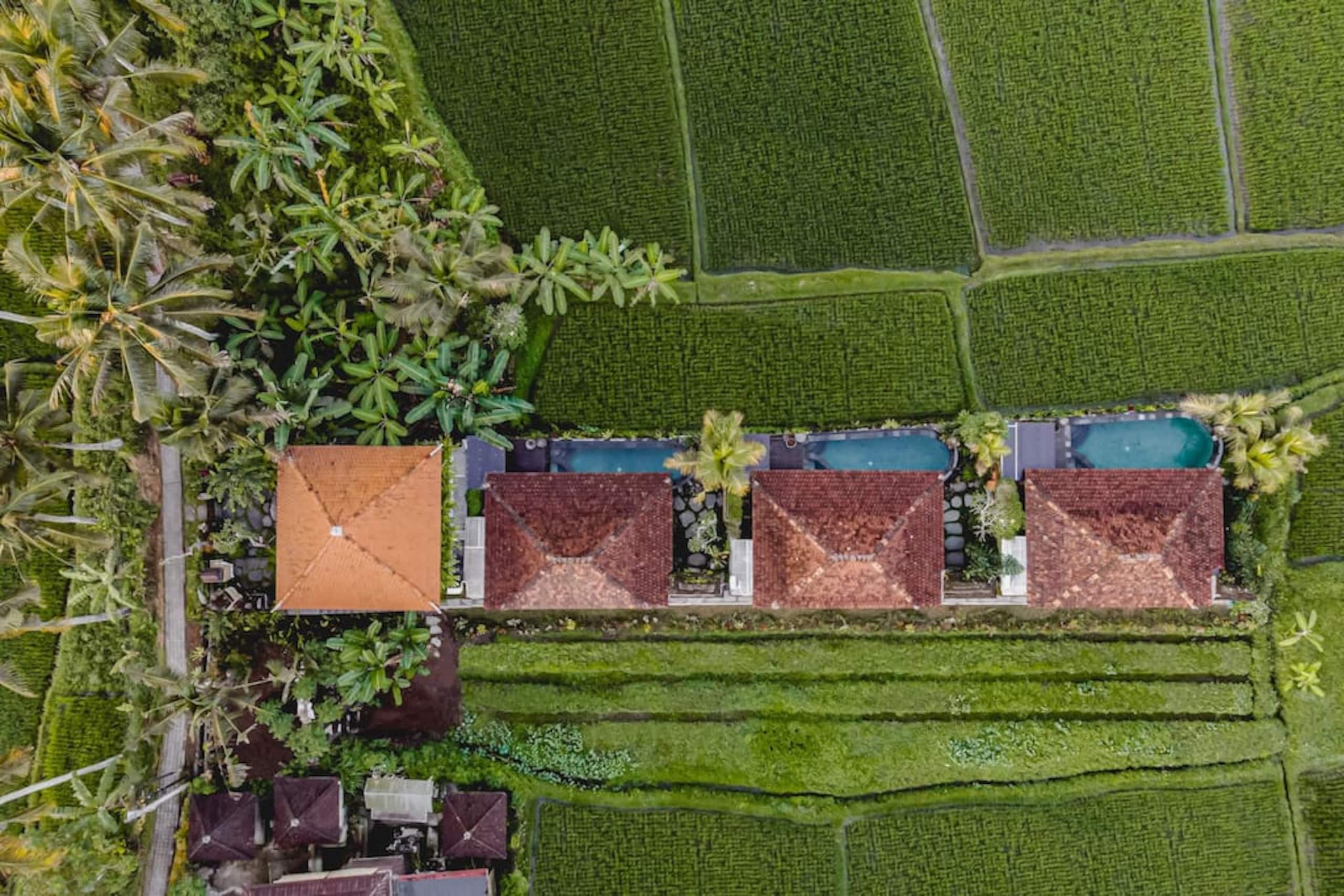 Hideaway Living w/ Ricefield View in Heart of Ubud 33