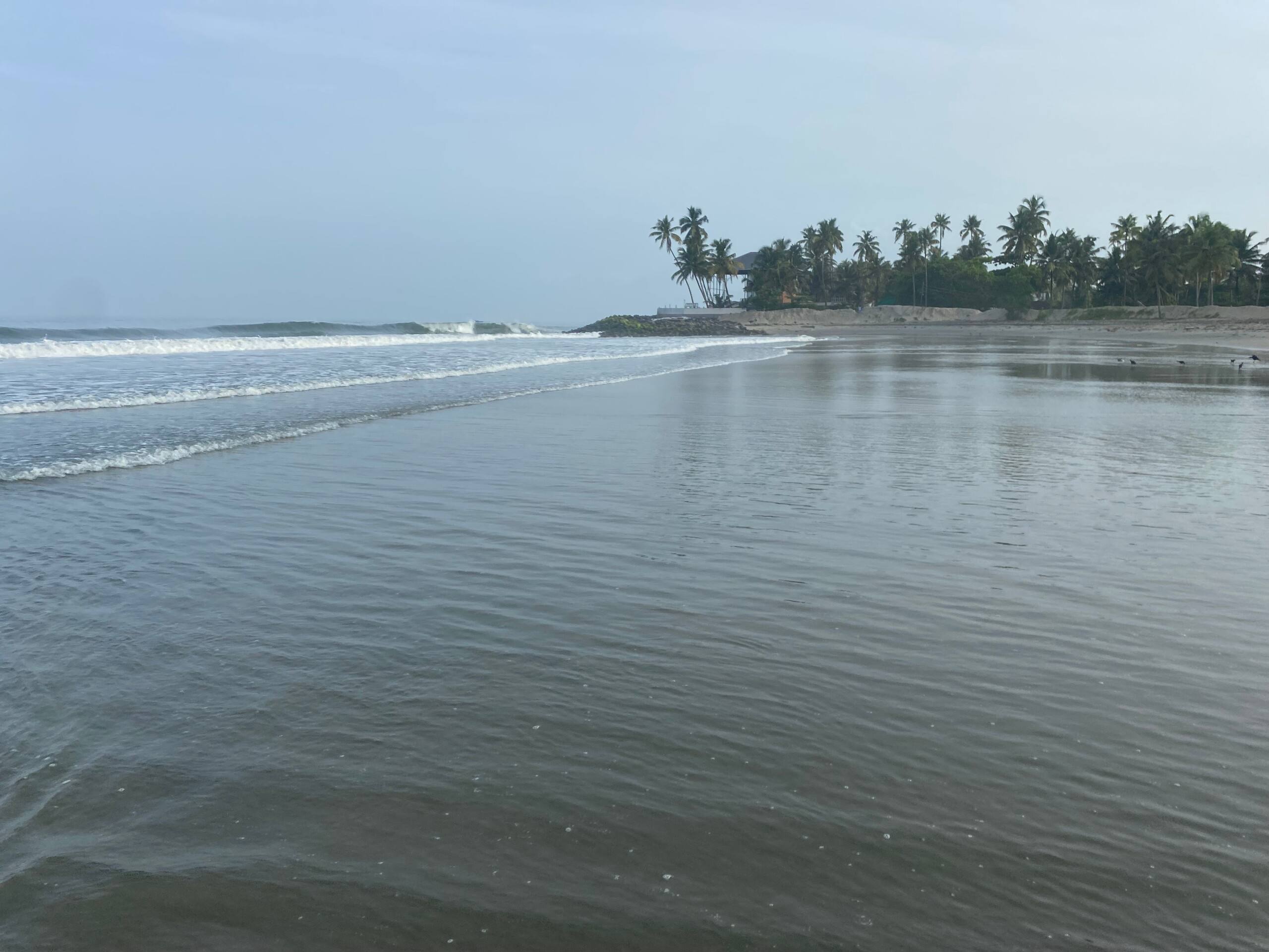 Ann's Home stay and events , Kumbalanghi 30