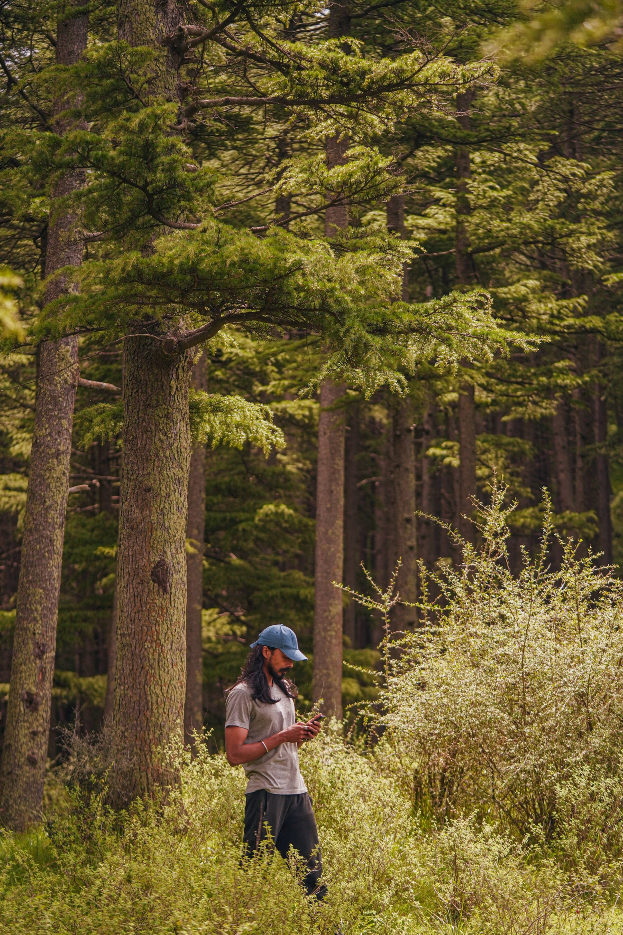 The Slow-life Cottage & Bonnfire near Kasol 29