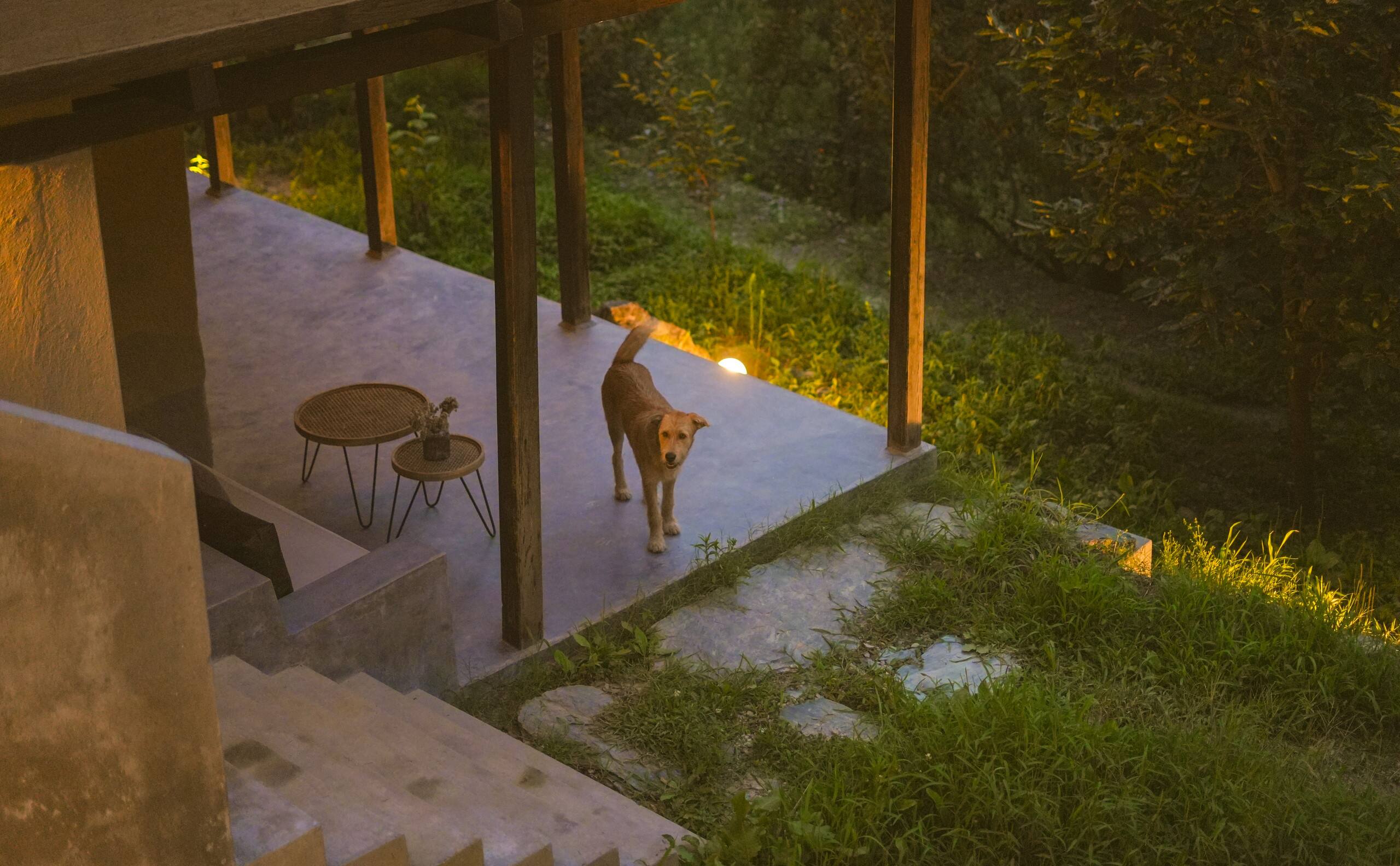 The Slow-life Cottage & Bonnfire near Kasol 32