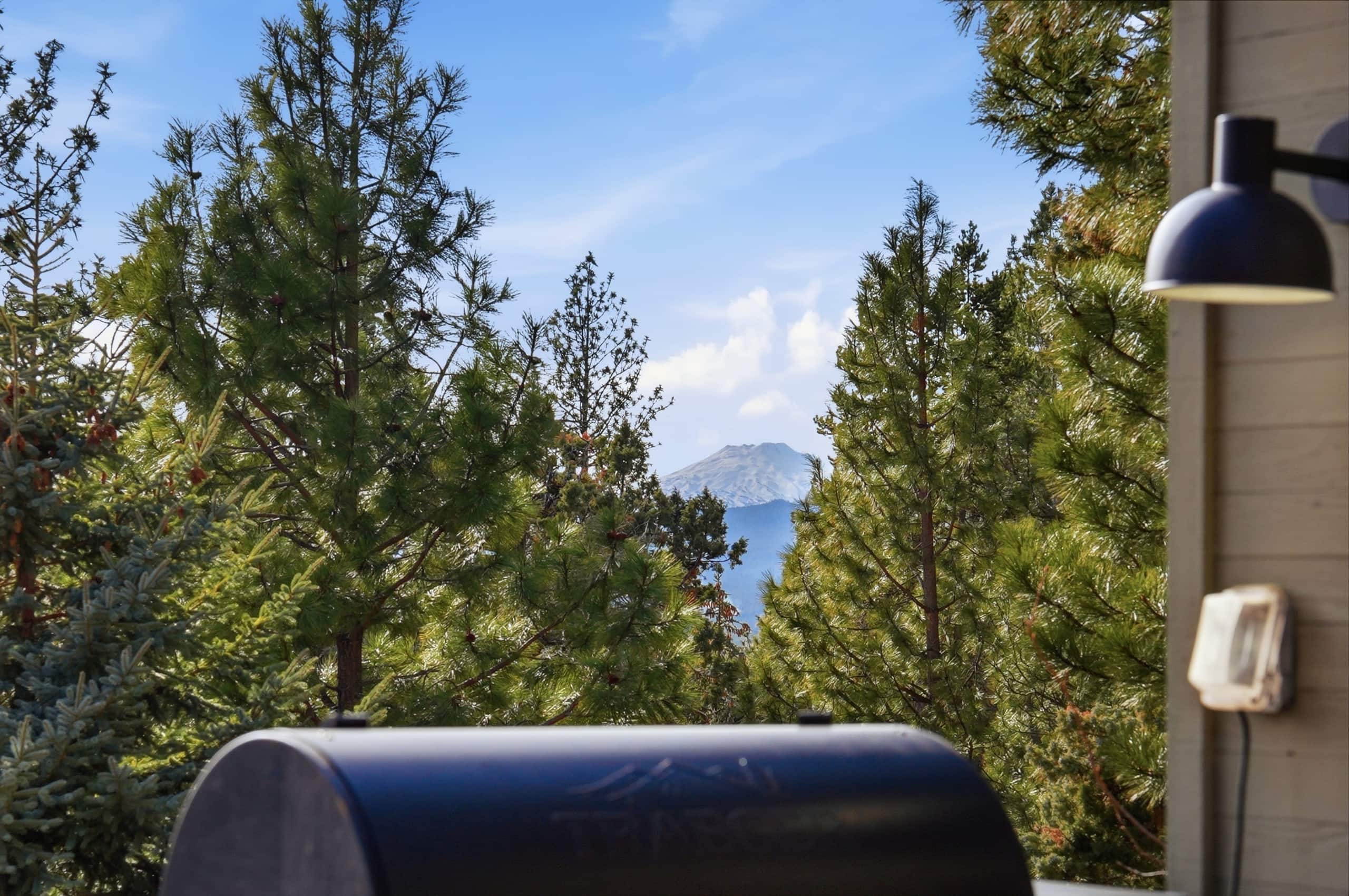 Executive Lodge w/ Hot Tub & Views, Bend — photo 4