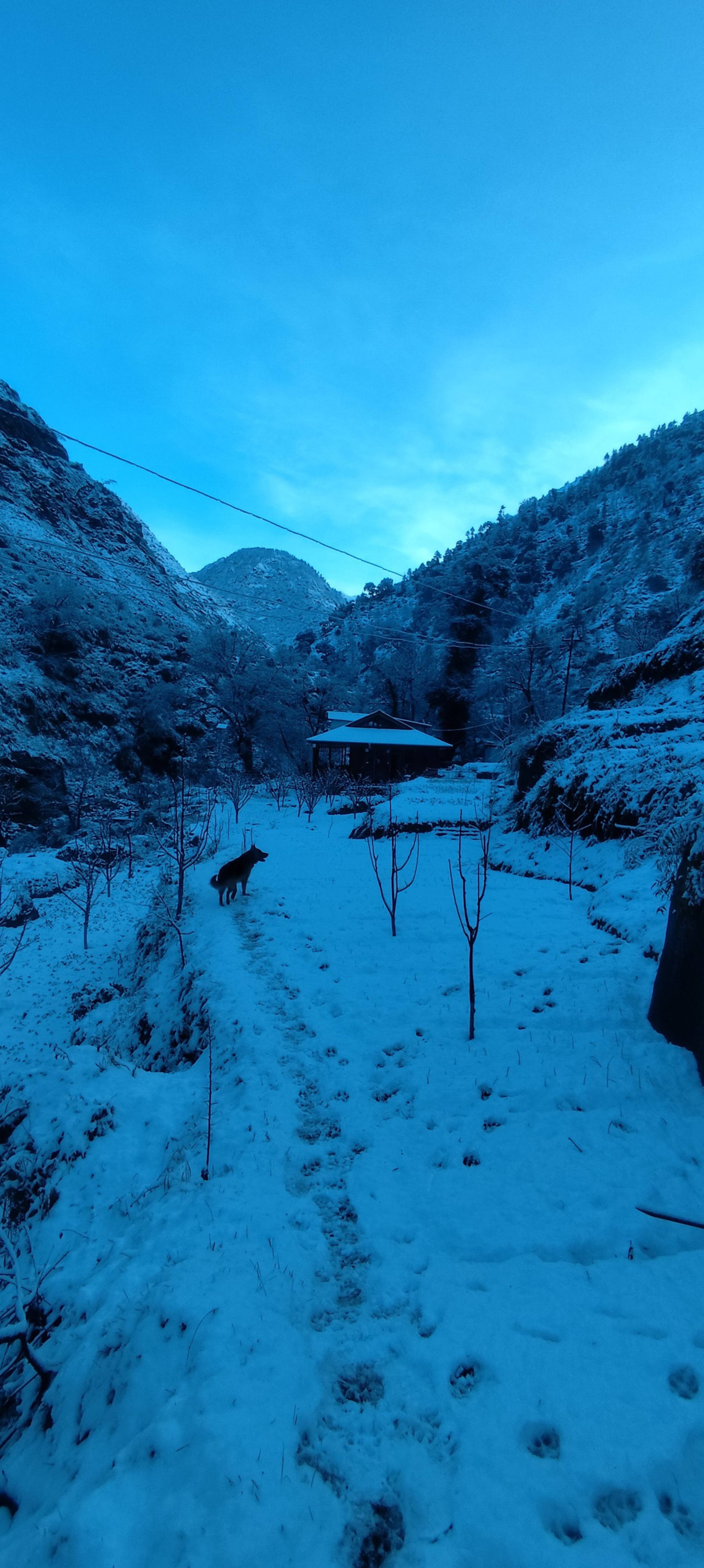 Ghnp Trails Homestay 37