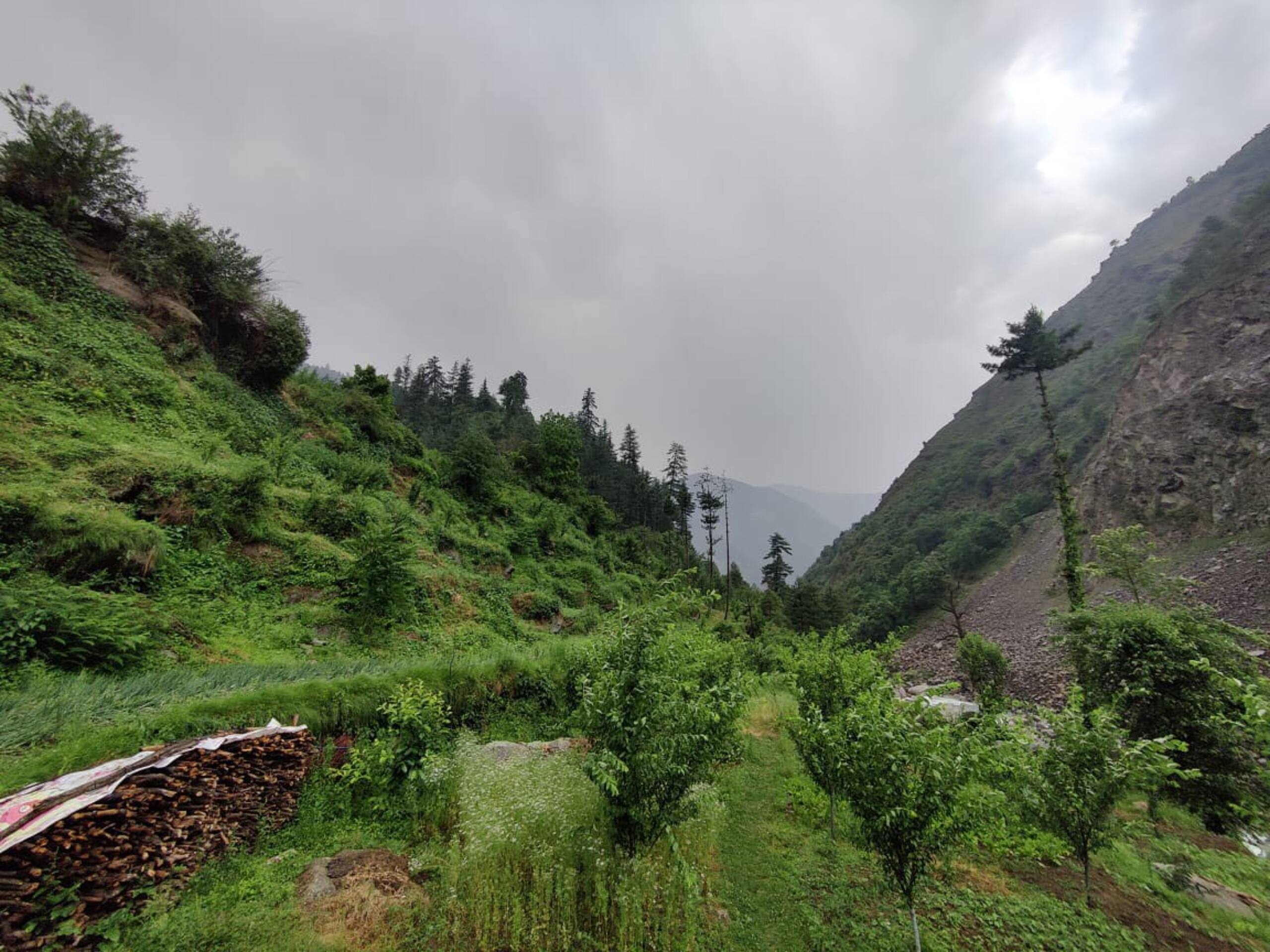 Ghnp Trails Homestay 31