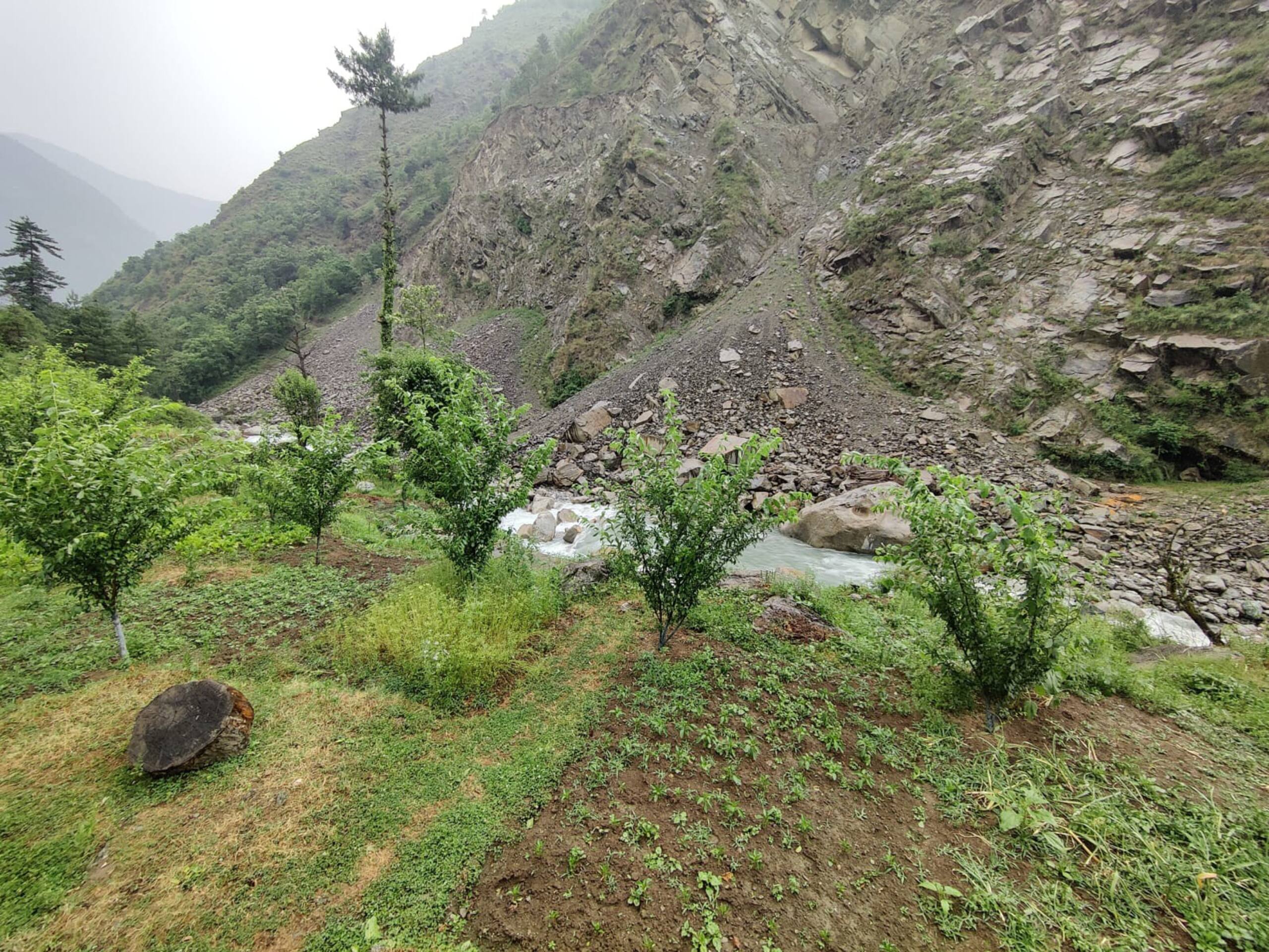 Ghnp Trails Homestay 32